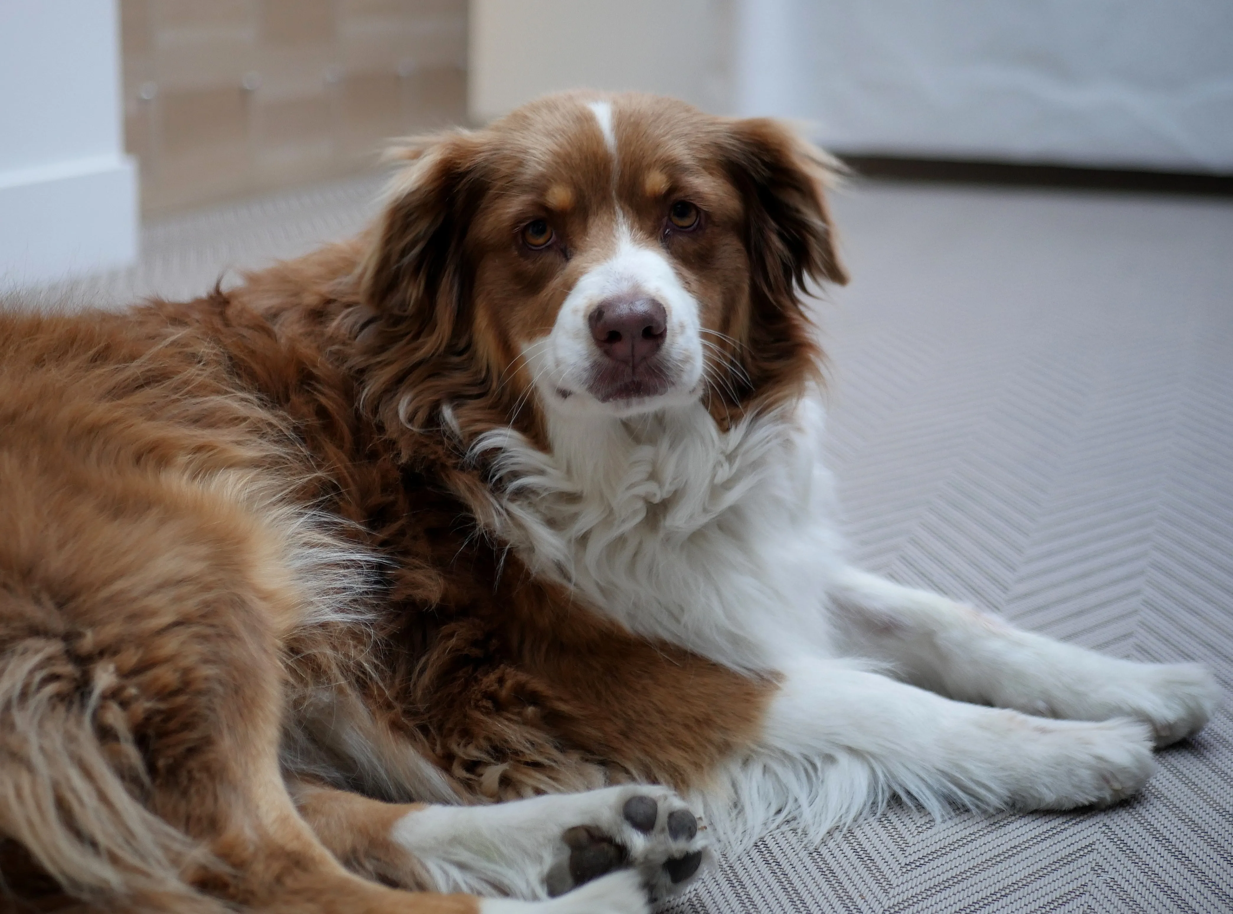 DI VALENTIN EN EXPO À AMIENS
