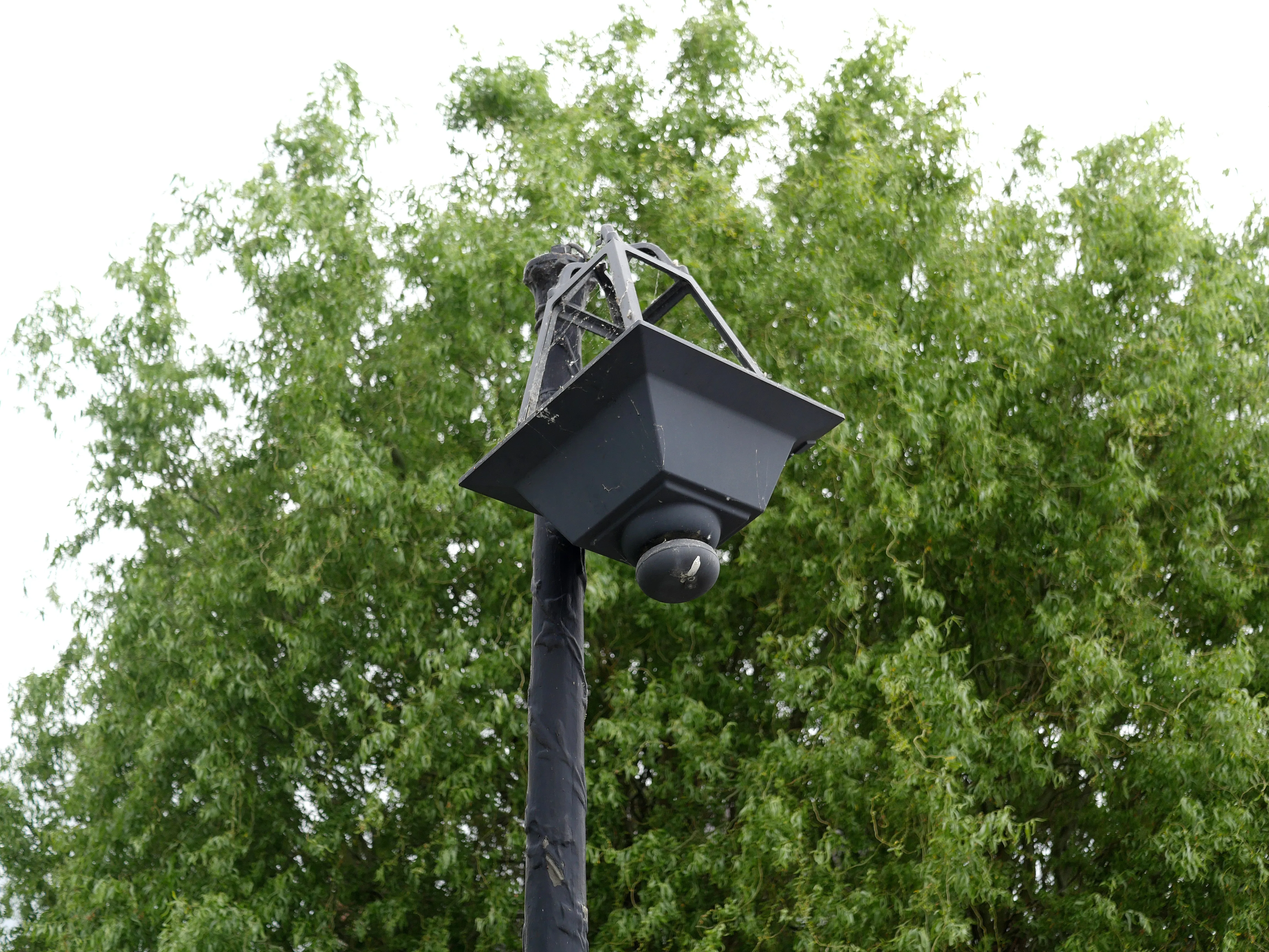 UNE VICTOIRE... PUIS L'HORREUR