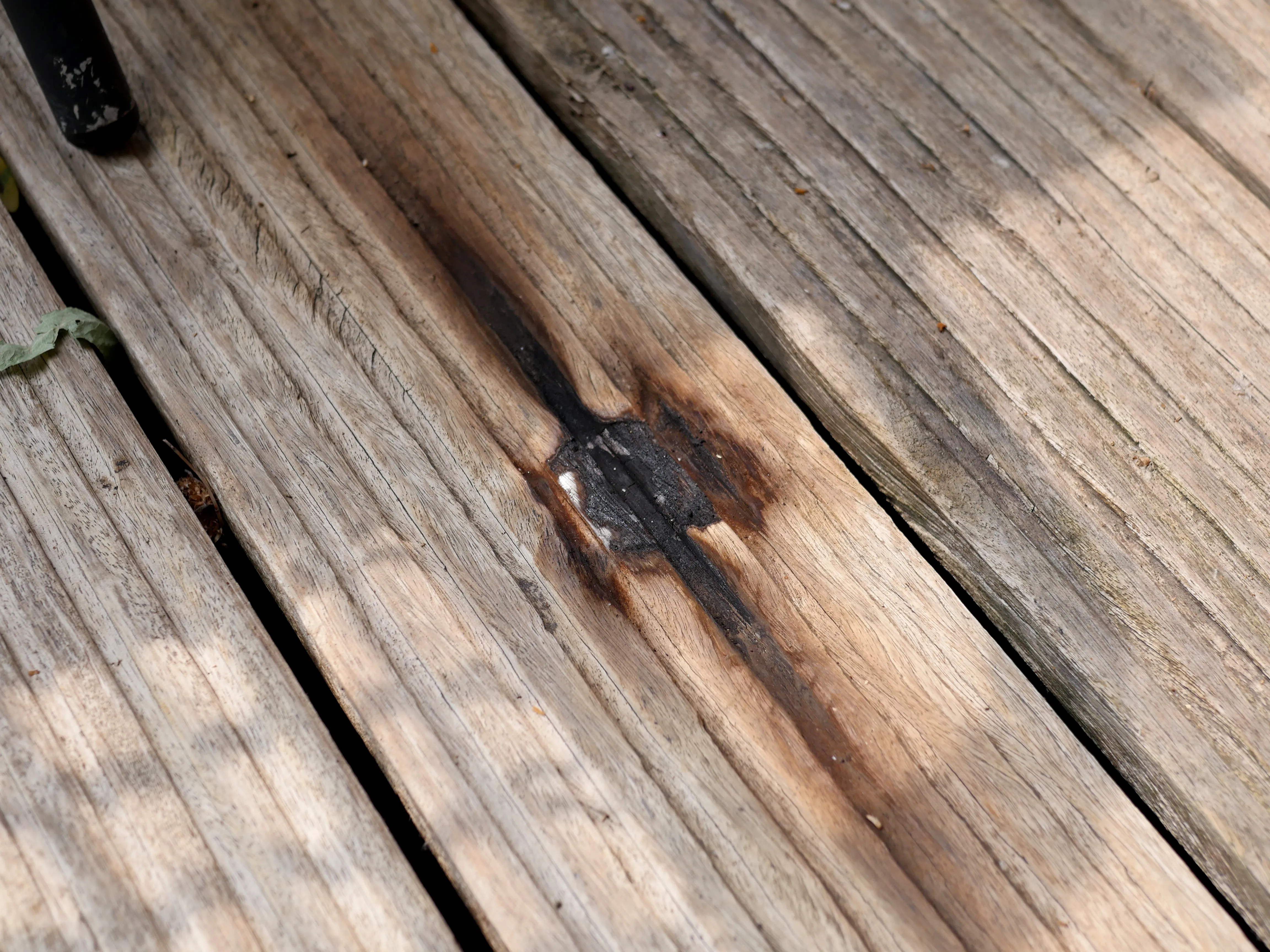 UNE VICTOIRE... PUIS L'HORREUR