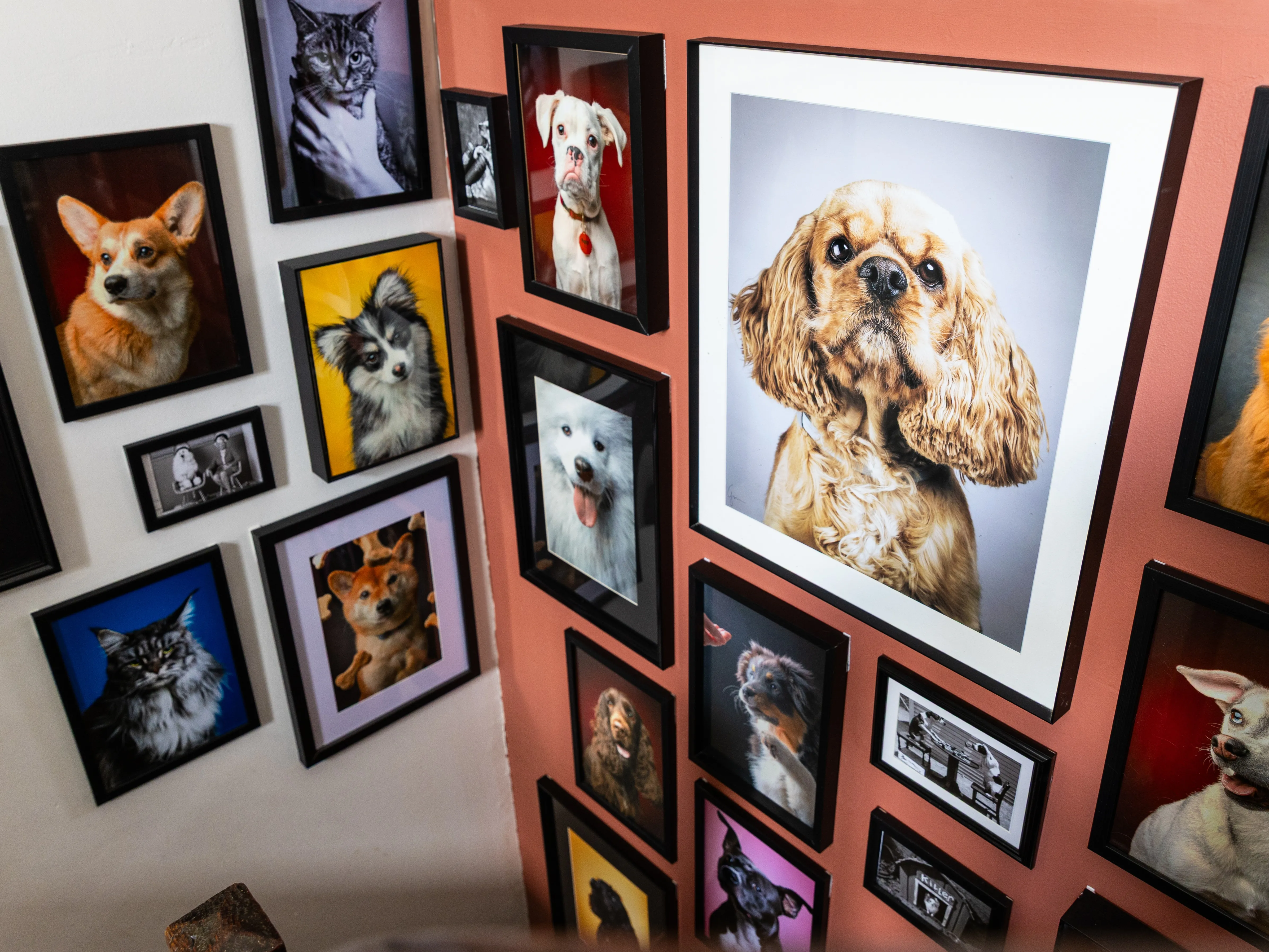 DES PORTRAITS ET DES POILS