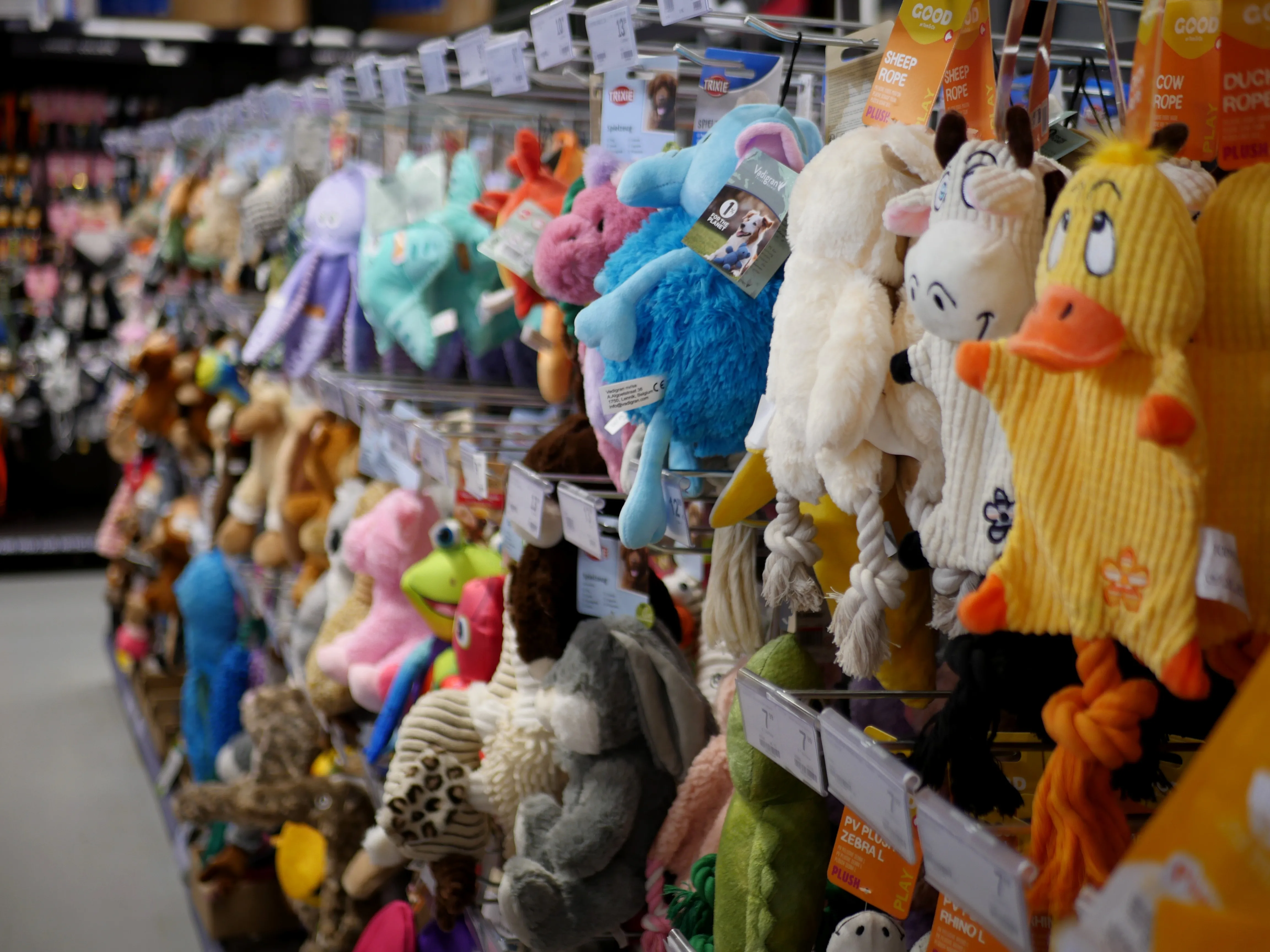 TOM&CO, L'AMOUR DES ANIMAUX