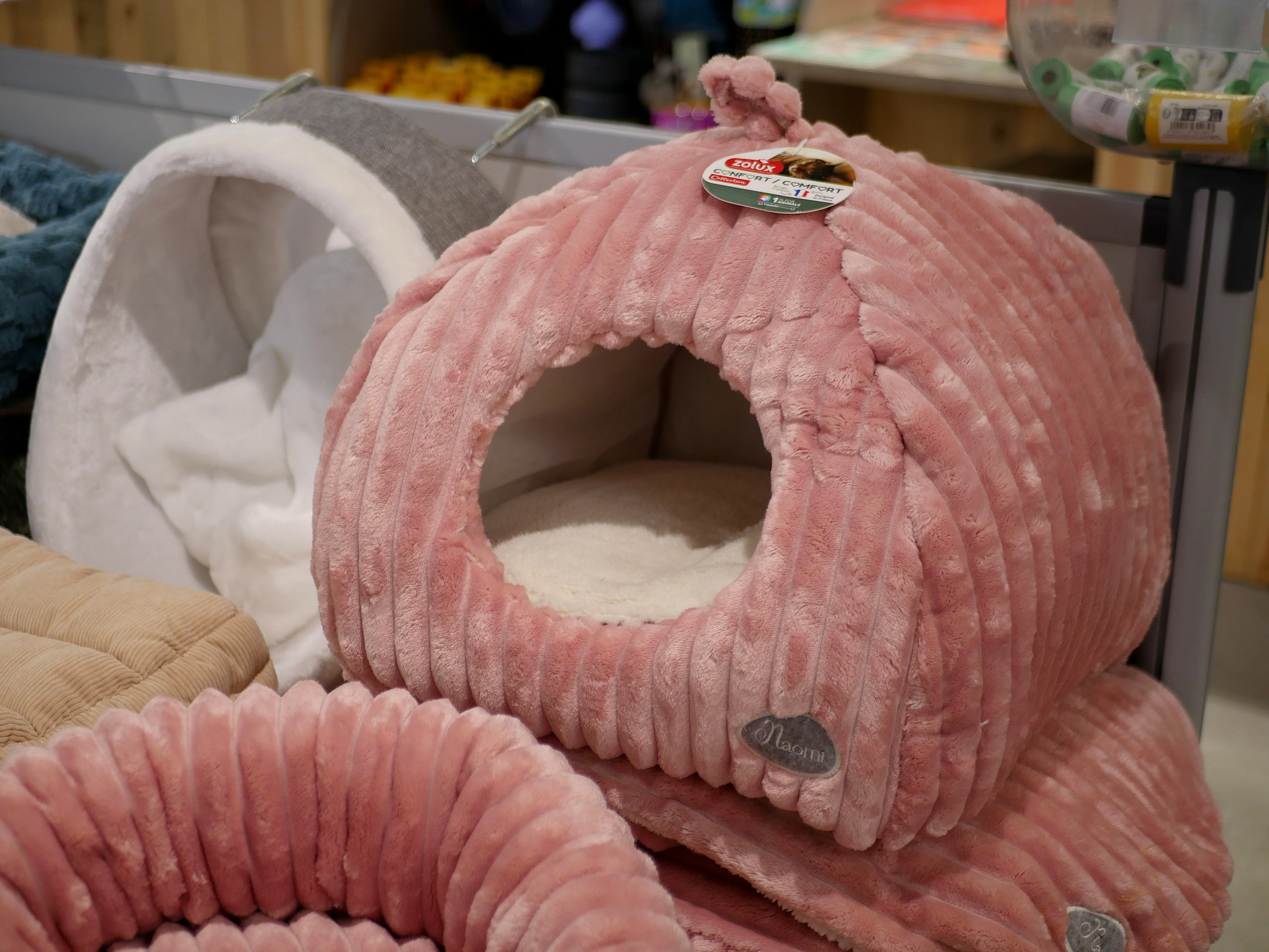 TOM&CO, L'AMOUR DES ANIMAUX