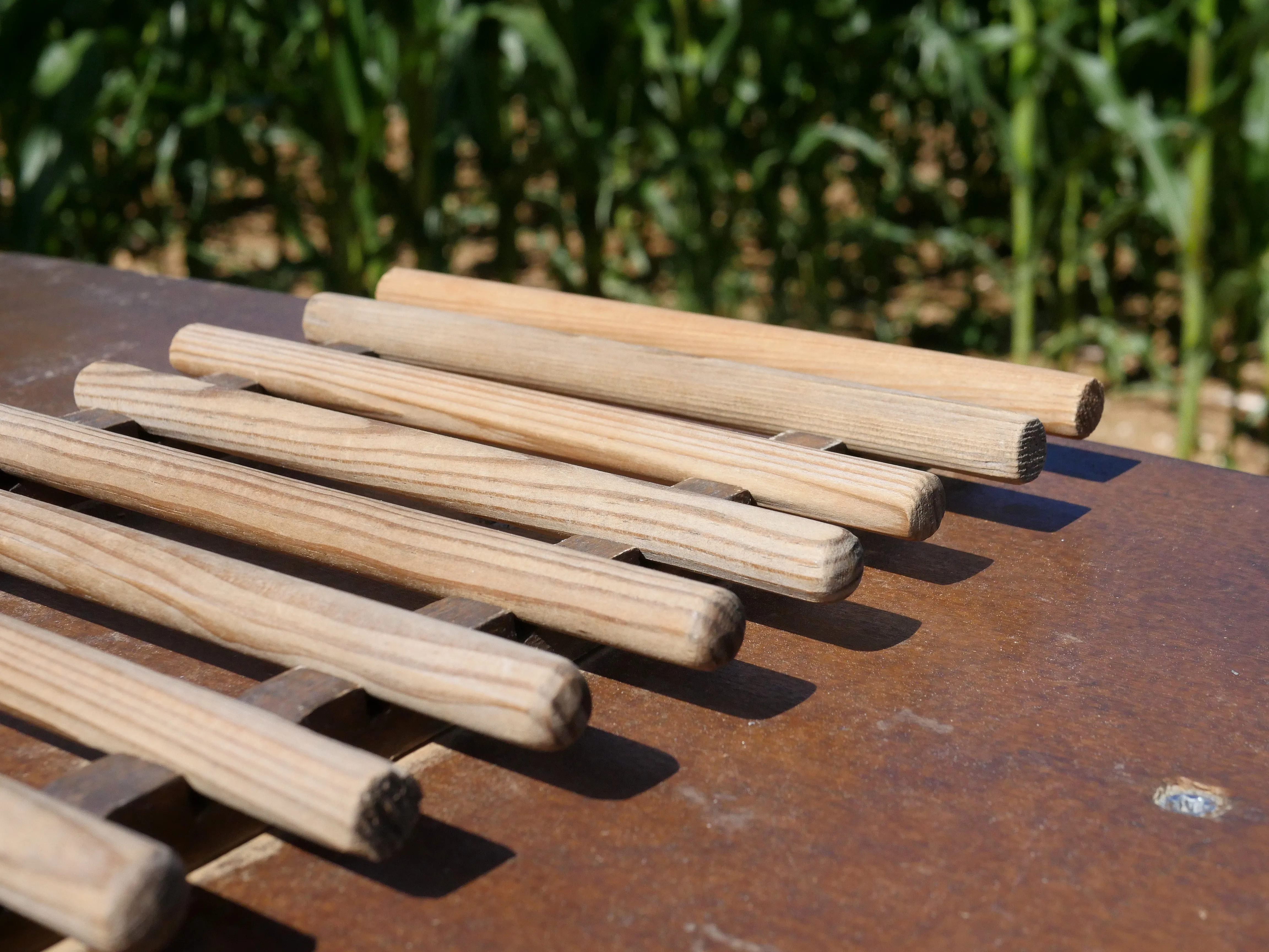 MISSION MAÏS À SAINT-FUSCIEN