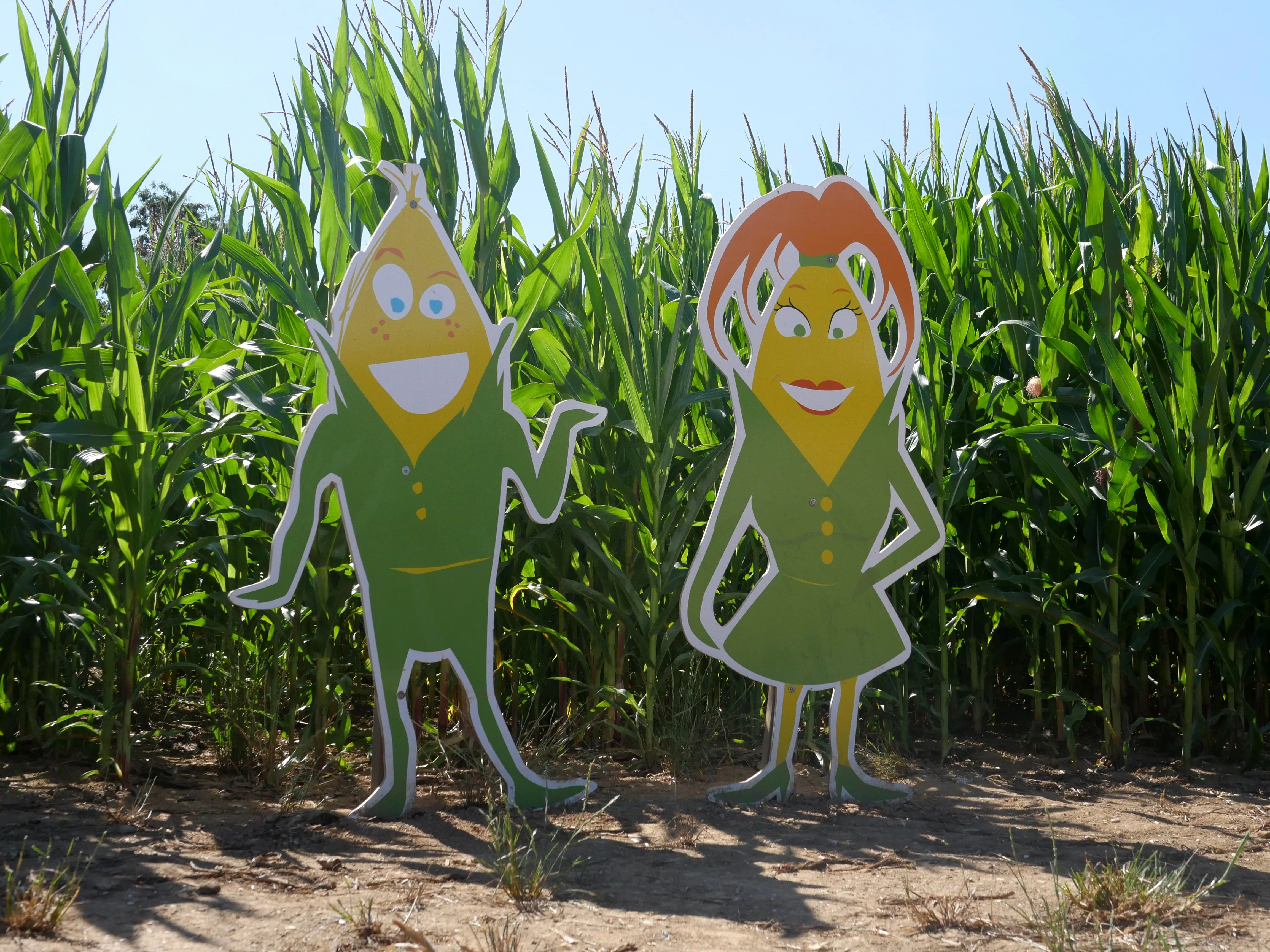 MISSION MAÏS À SAINT-FUSCIEN