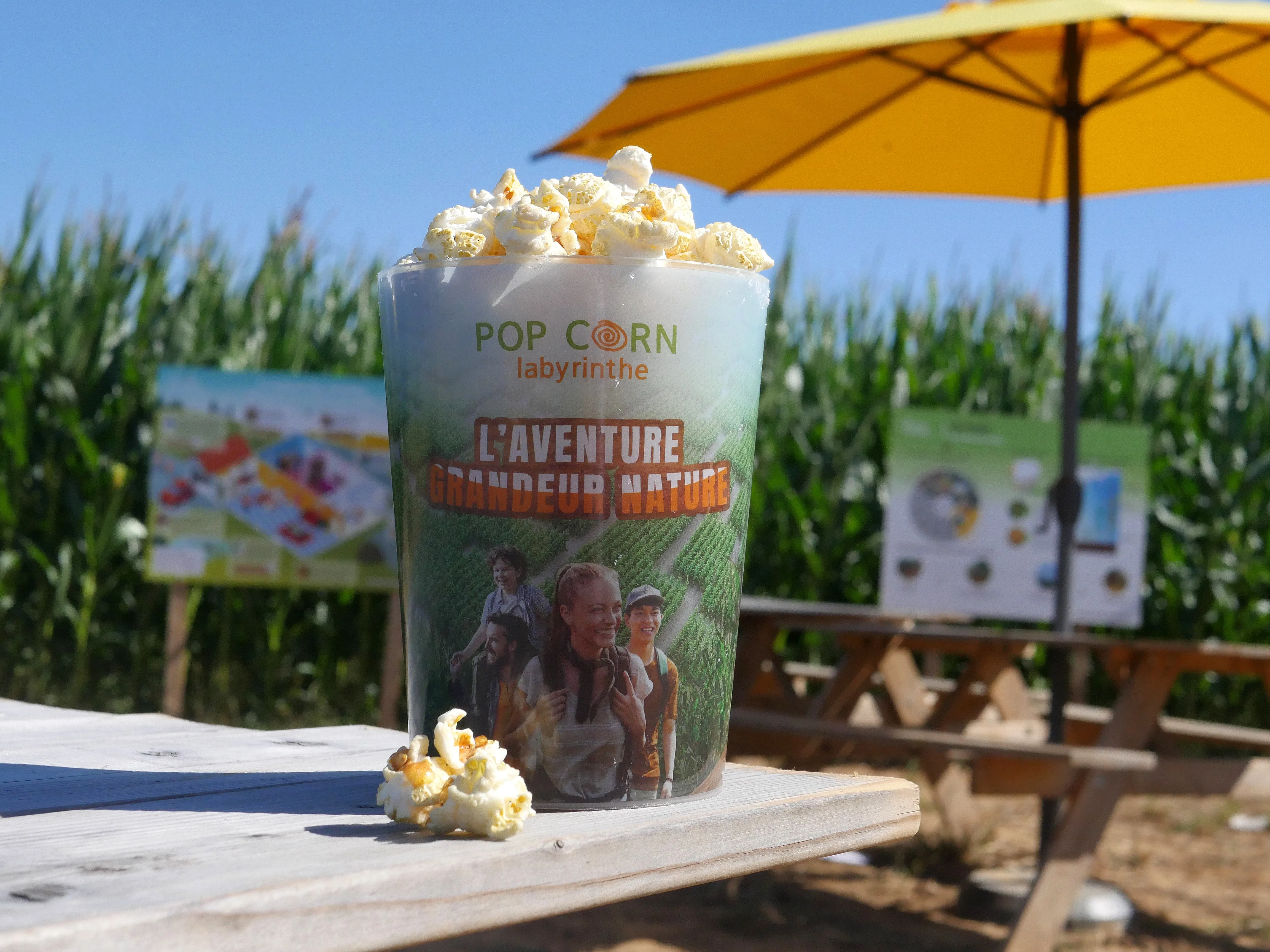 MISSION MAÏS À SAINT-FUSCIEN