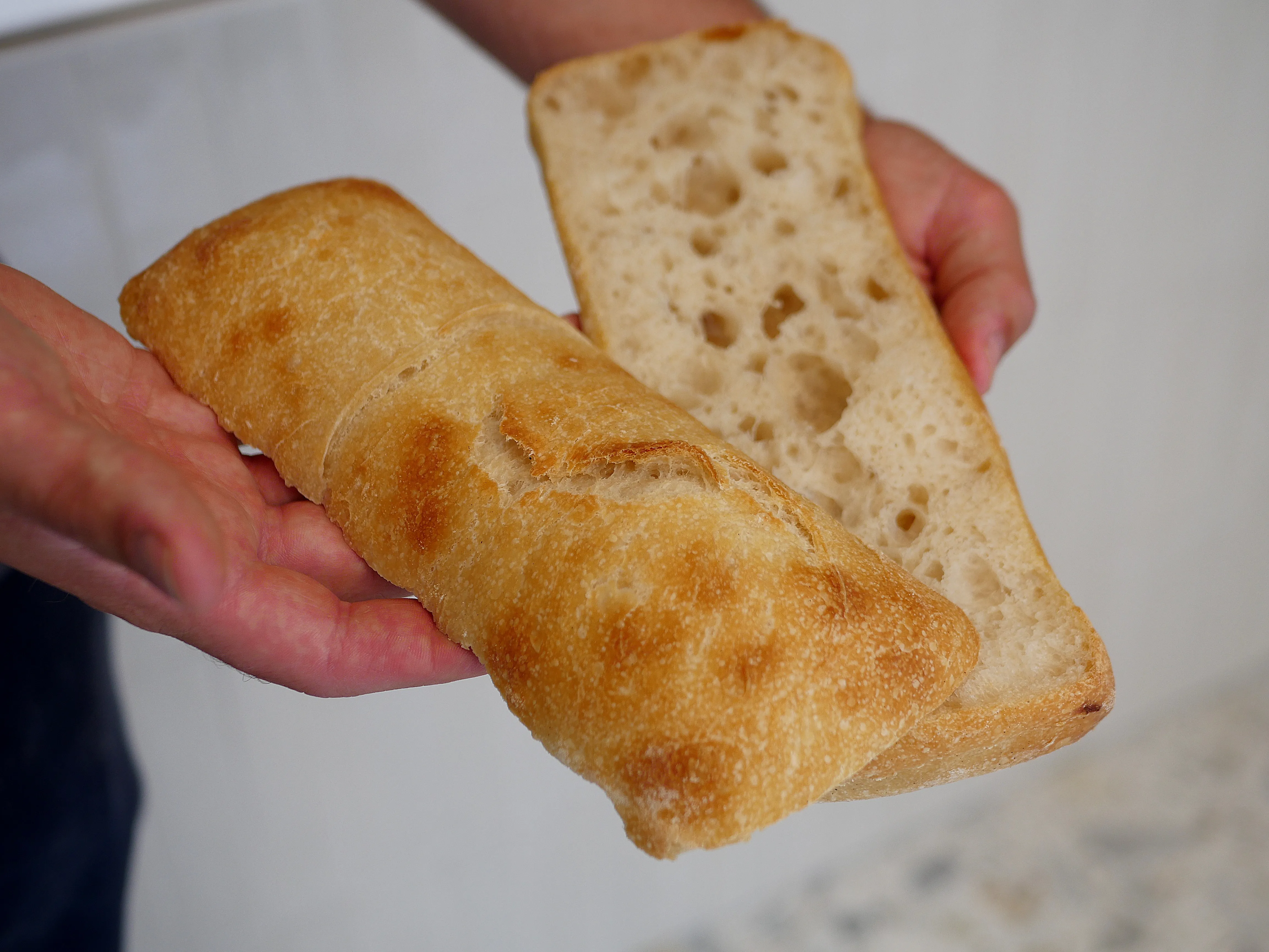 PAPANINO, LE SANDWICH À L'ITALIENNE