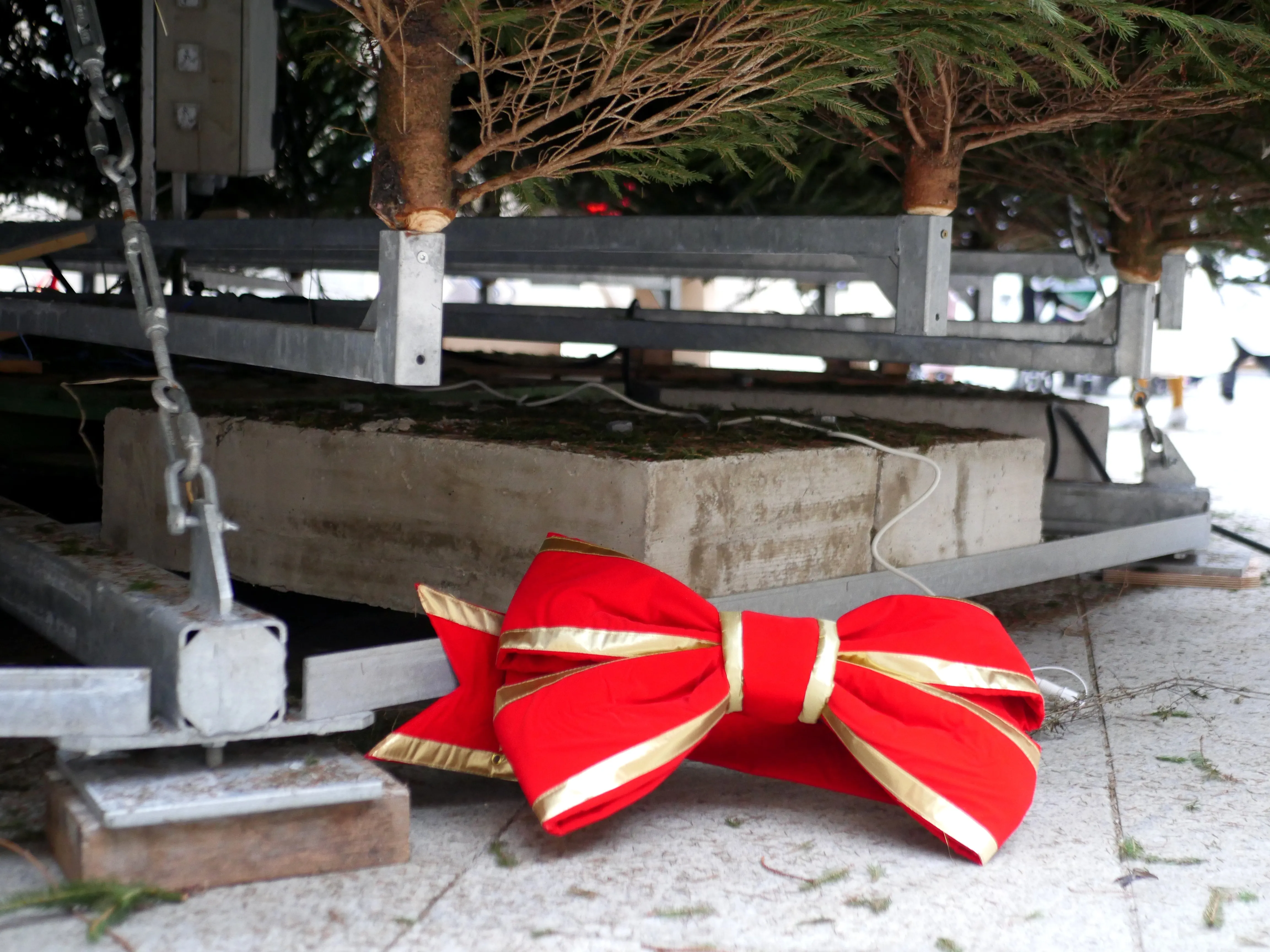 LES MAGICIENS DU GRAND SAPIN