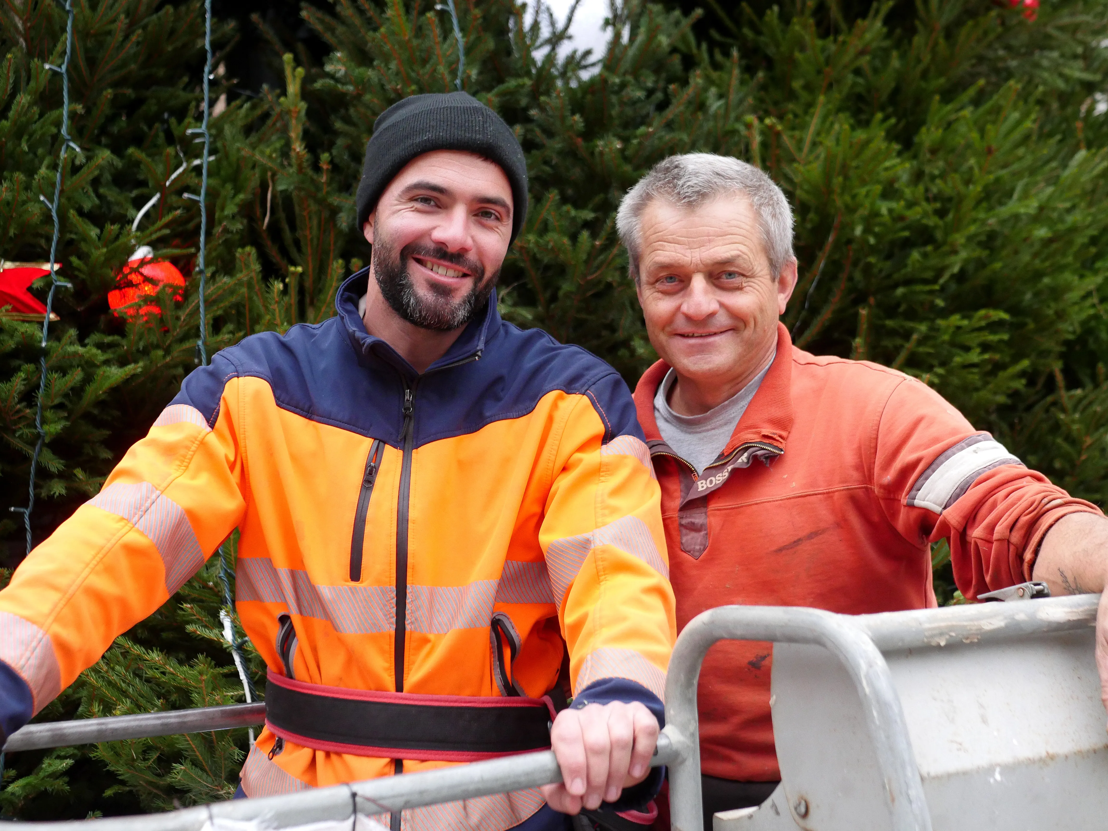 LES MAGICIENS DU GRAND SAPIN