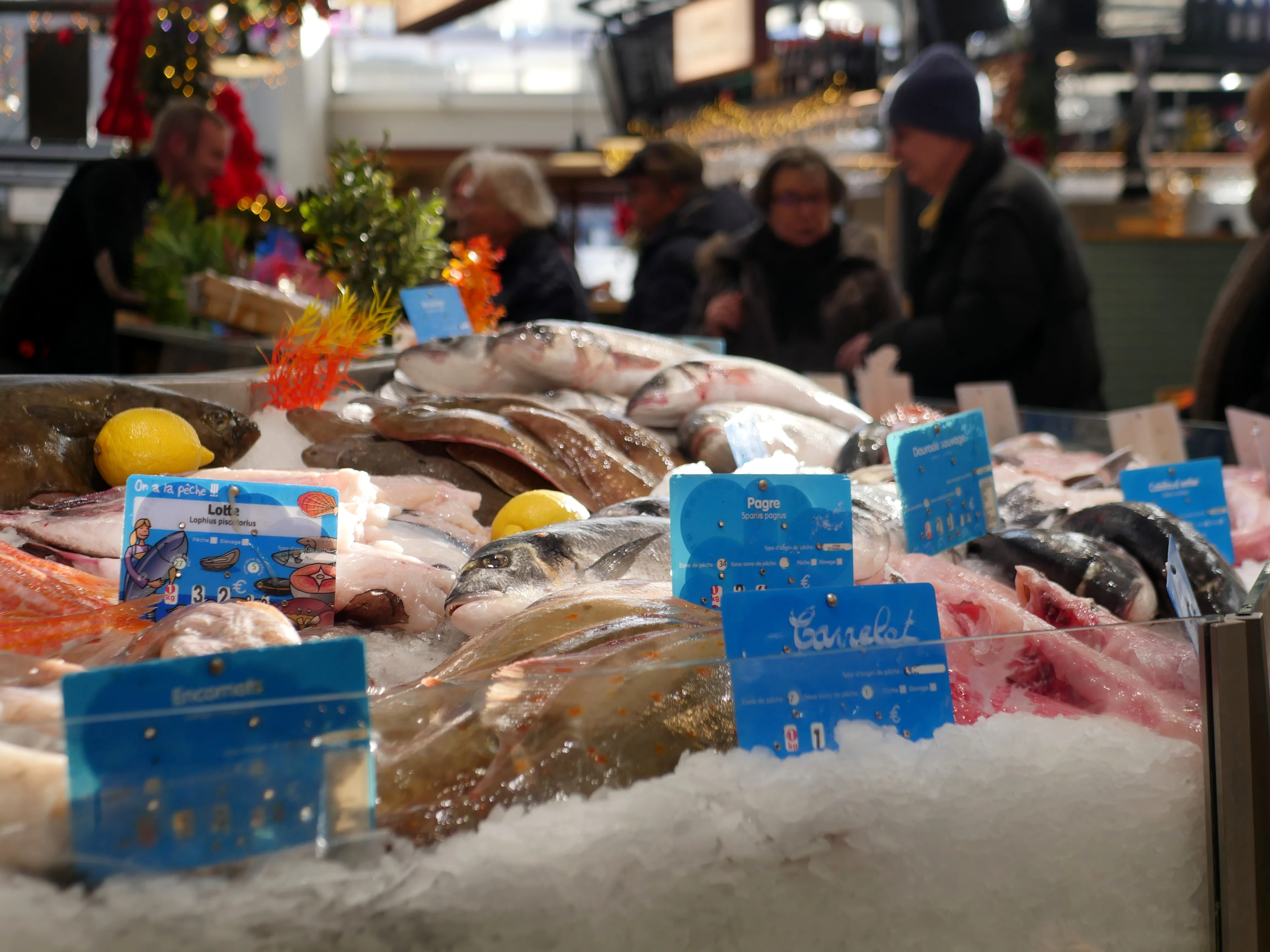 CAP SUR LES HALLES D’AMIENS