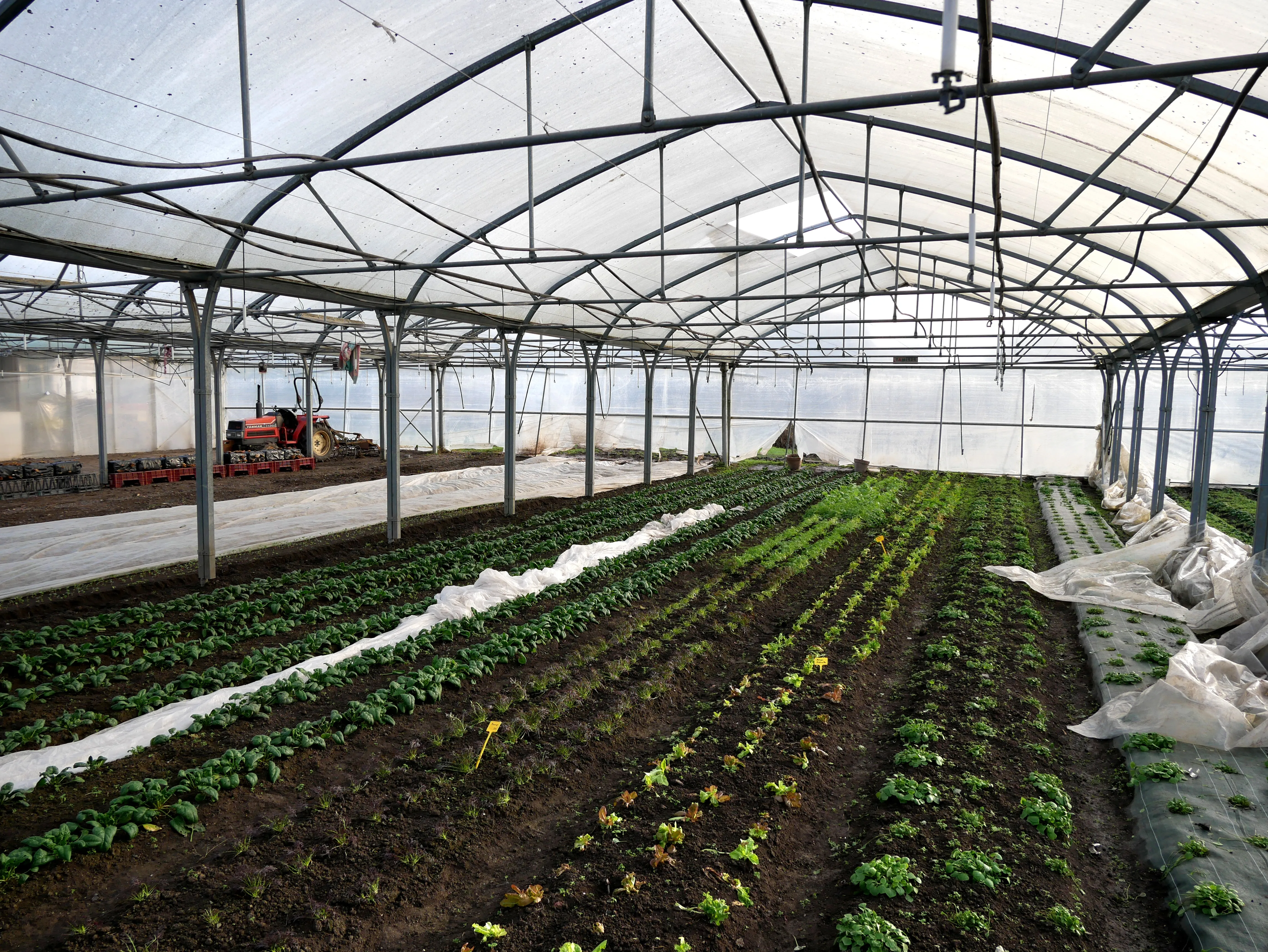 UNE FERME BIO EN CENTRE-VILLE