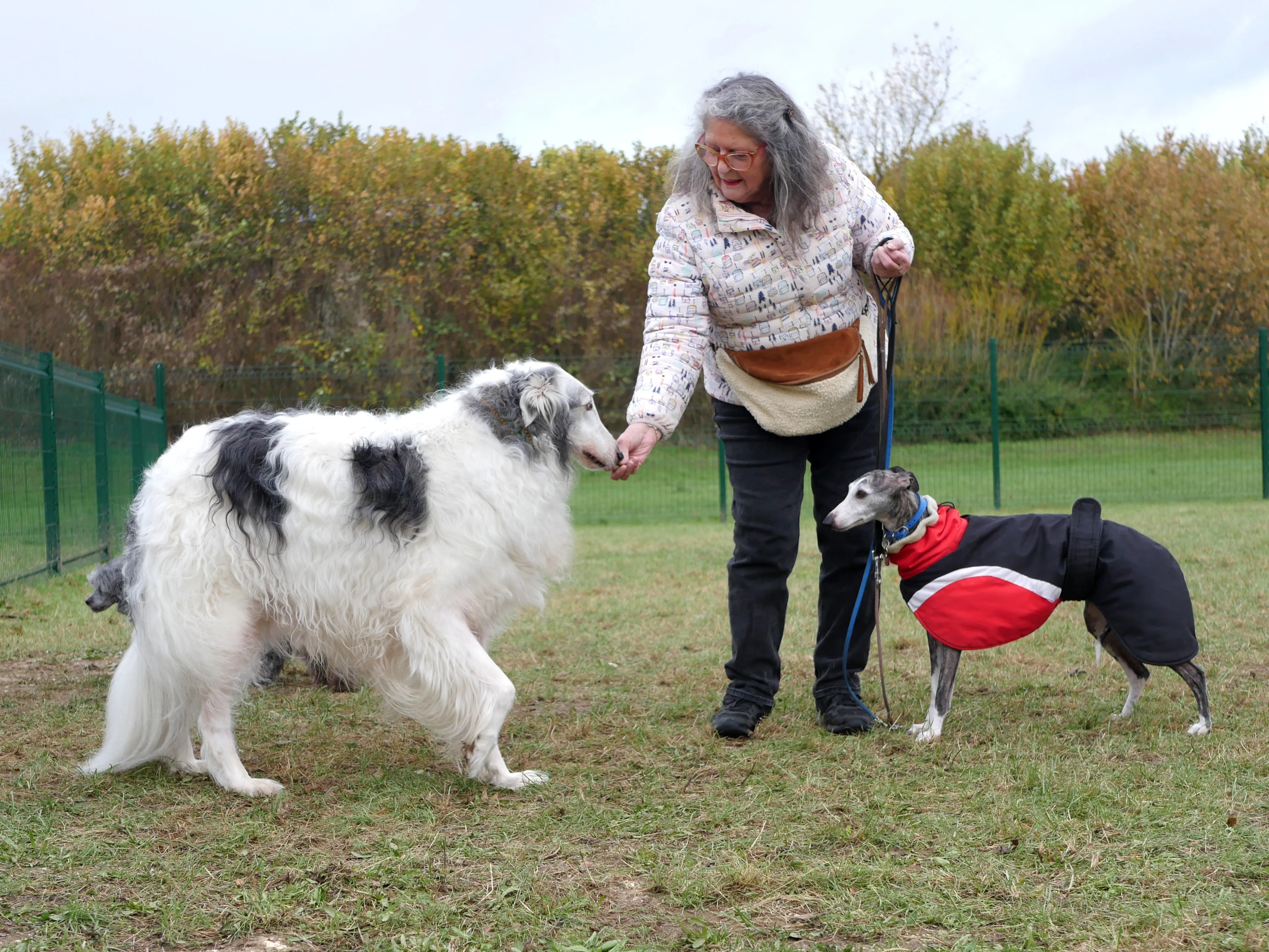 UNE AIRE DE BIEN-ÊTRE CANIN