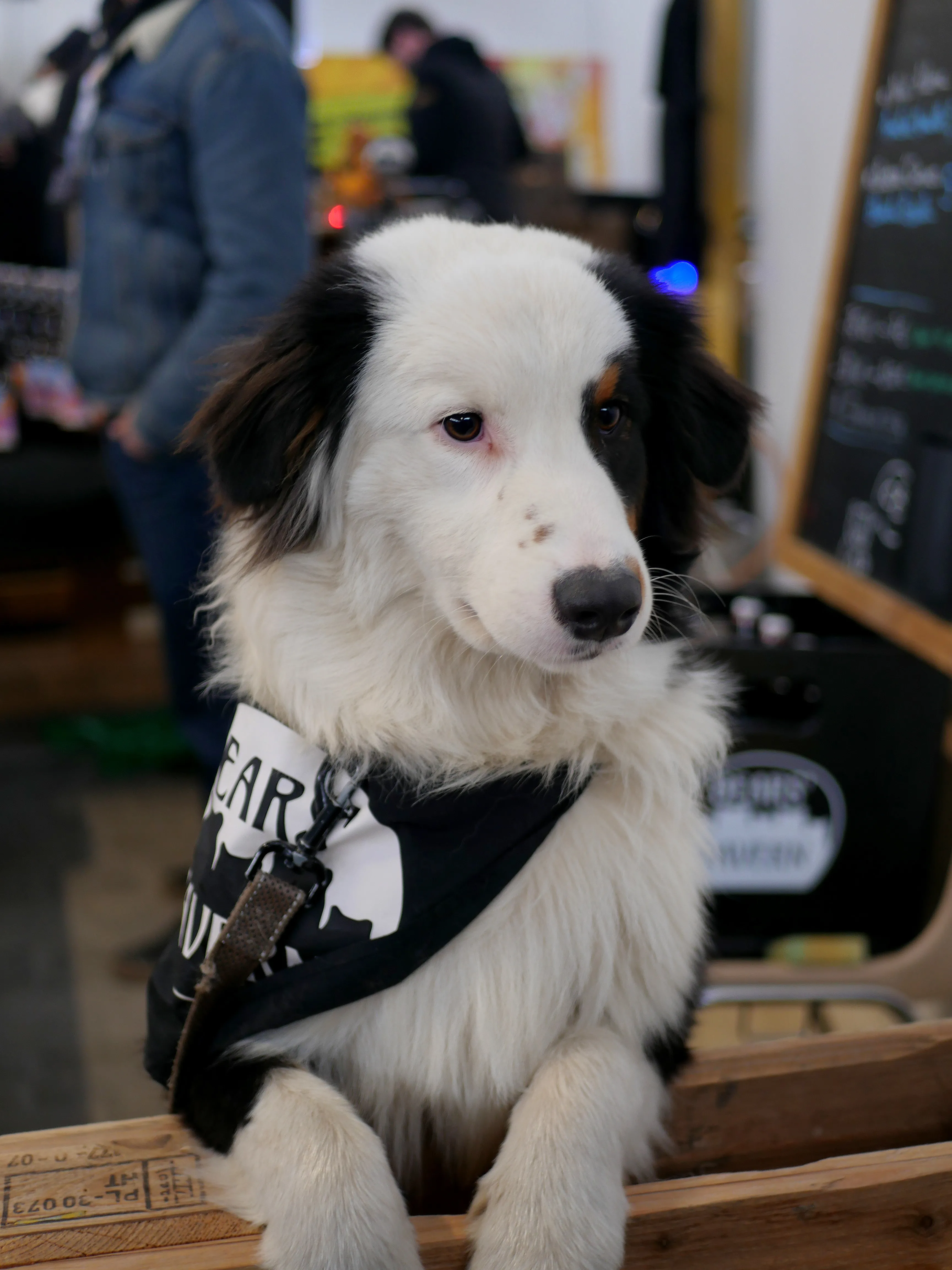 AMIENS BIÈRE FESTIVAL 2025