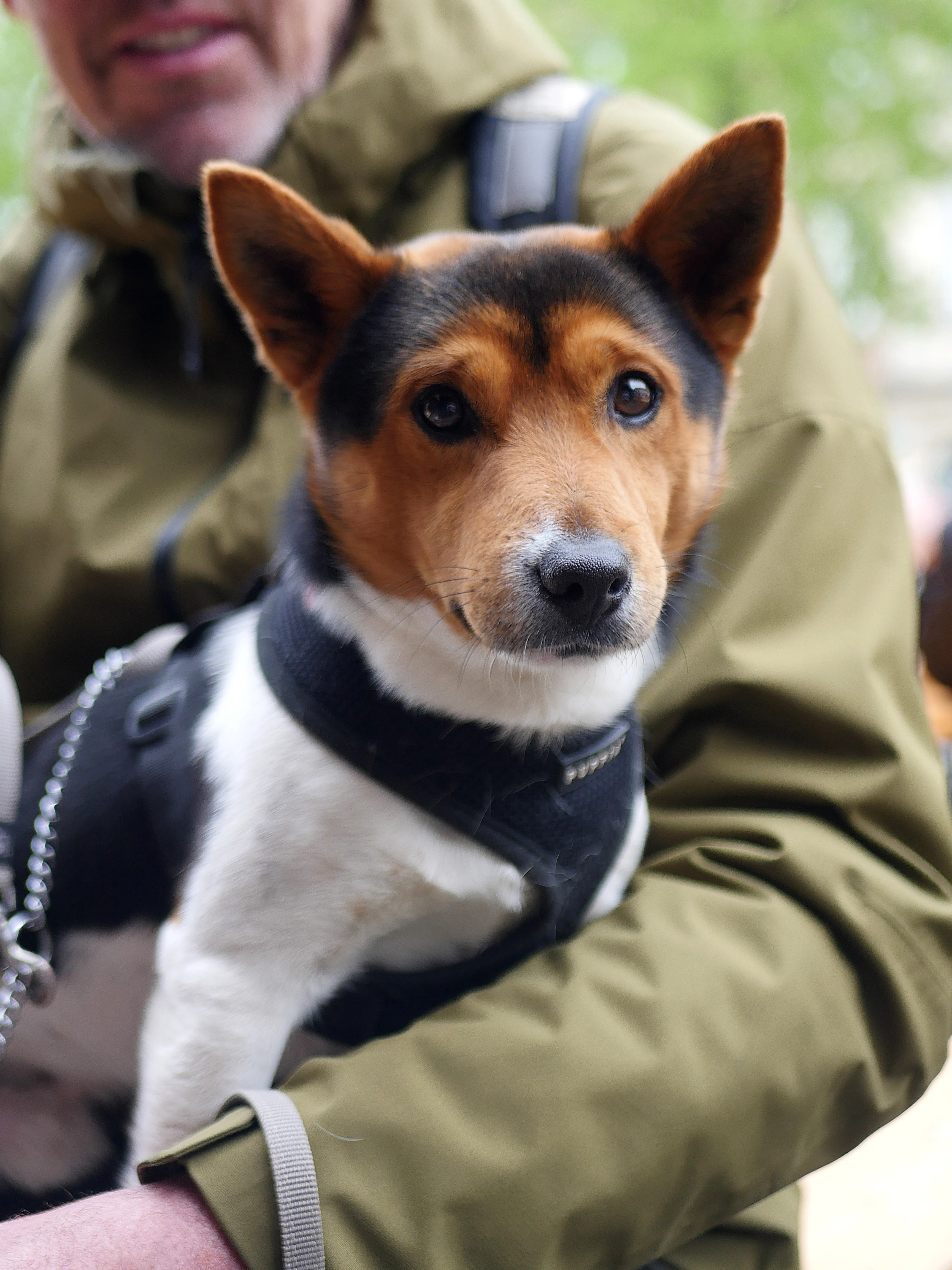 LE RENDEZ-VOUS DES CHINEURS
