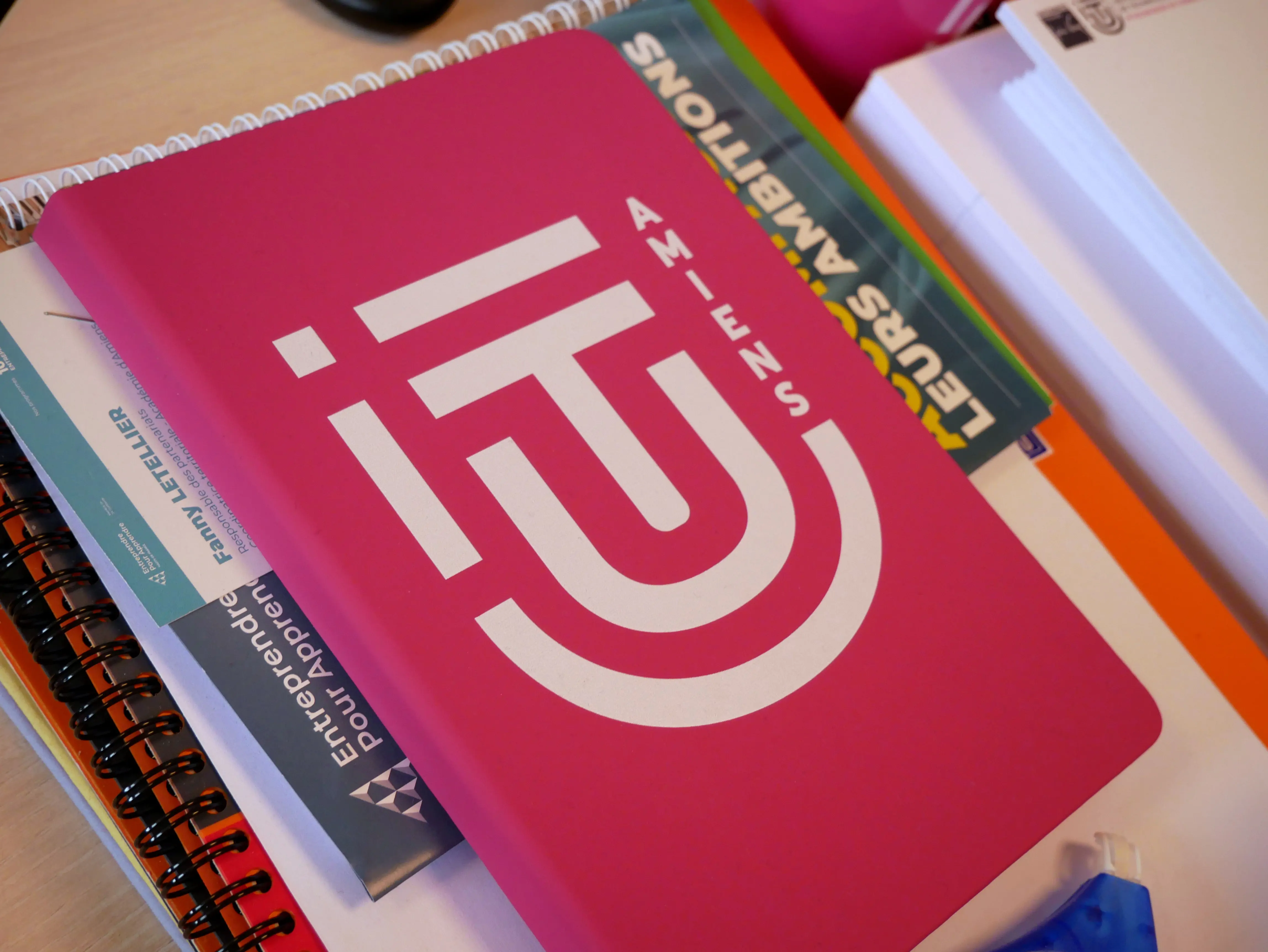 LE TOUT PREMIER MASTER DE L’IUT