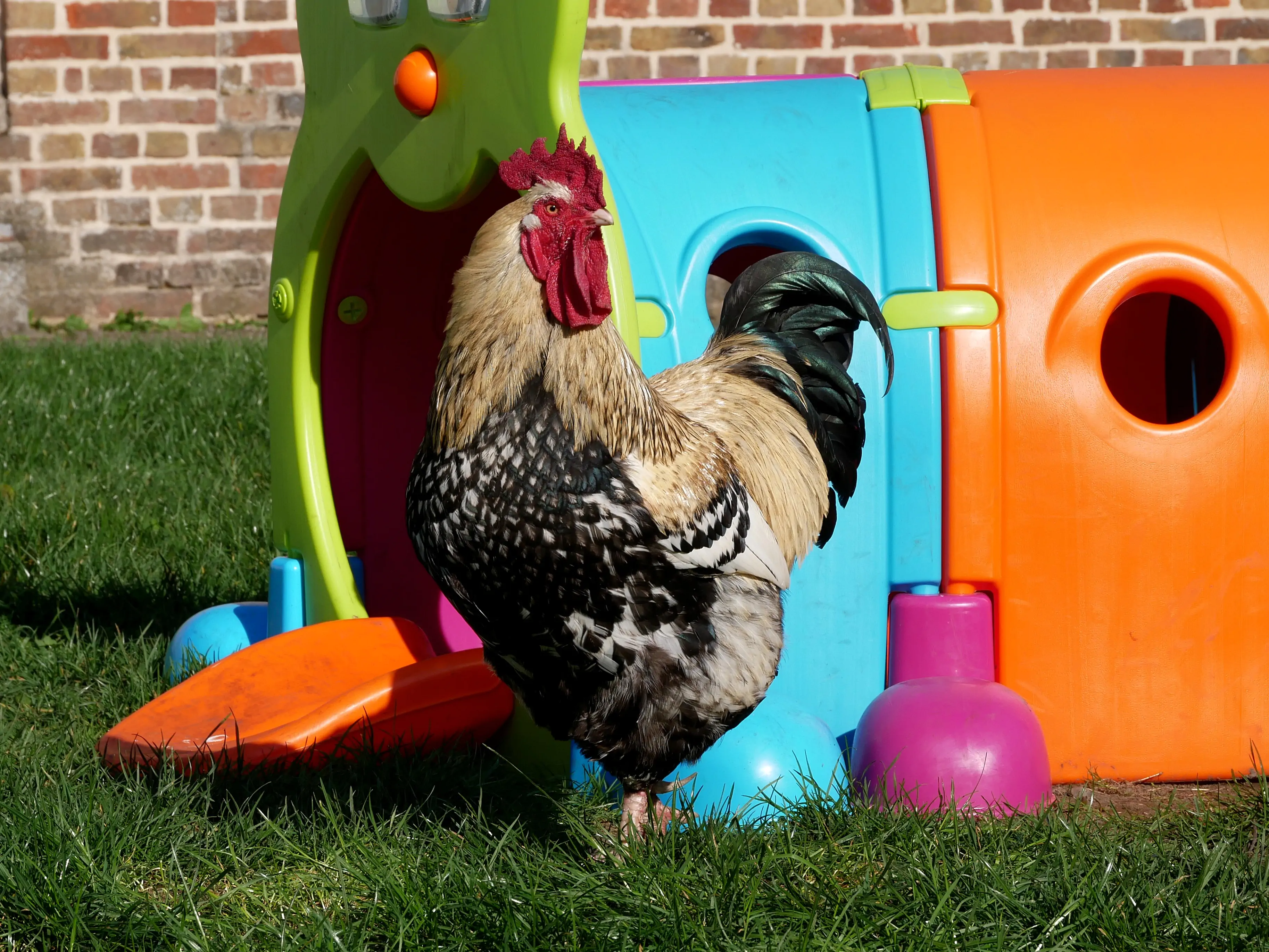 DÉCOUVREZ LA NATURE À L'ÉCOLE