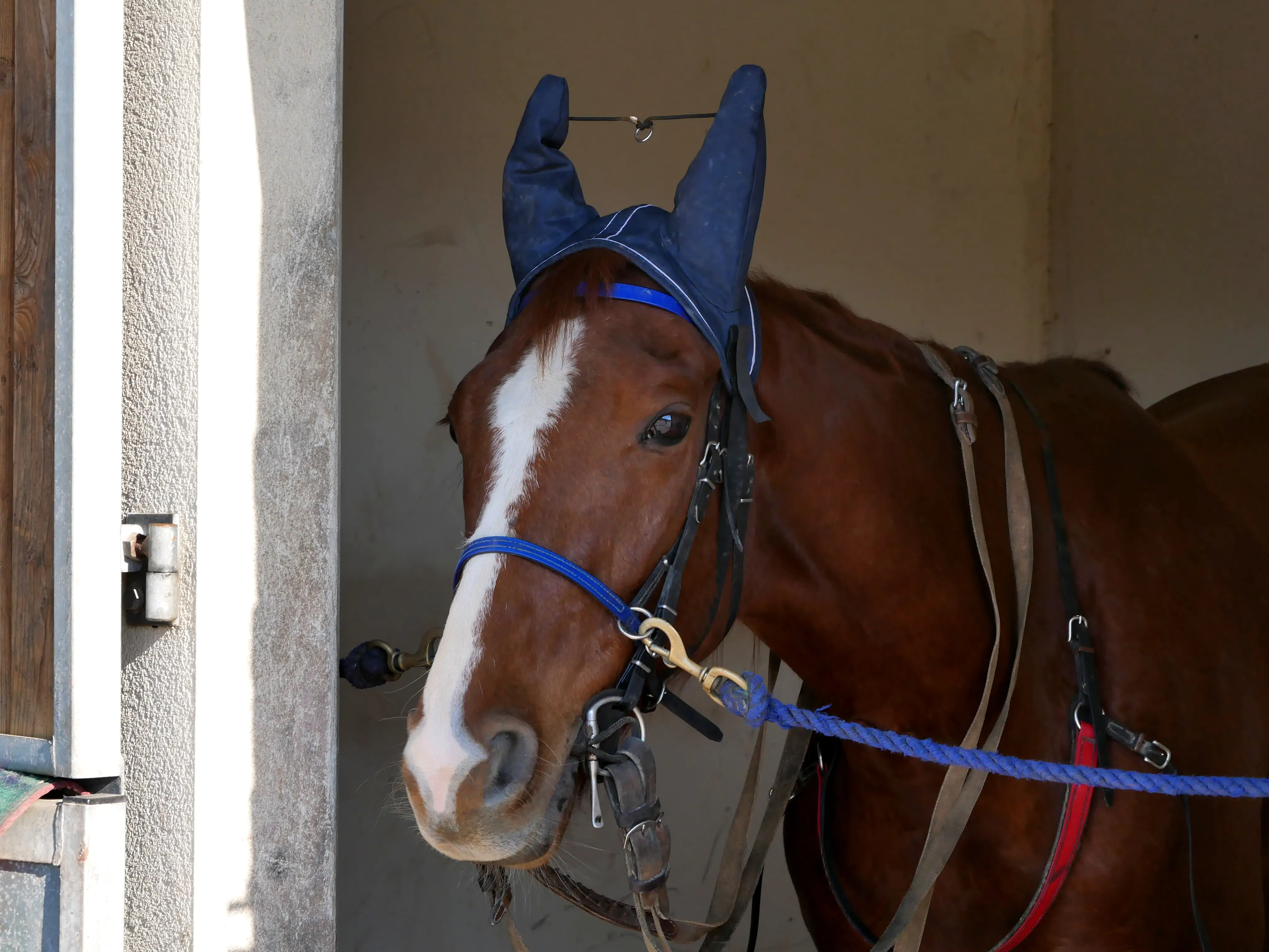 UNE PREMIÈRE ÉTAPE À AMIENS