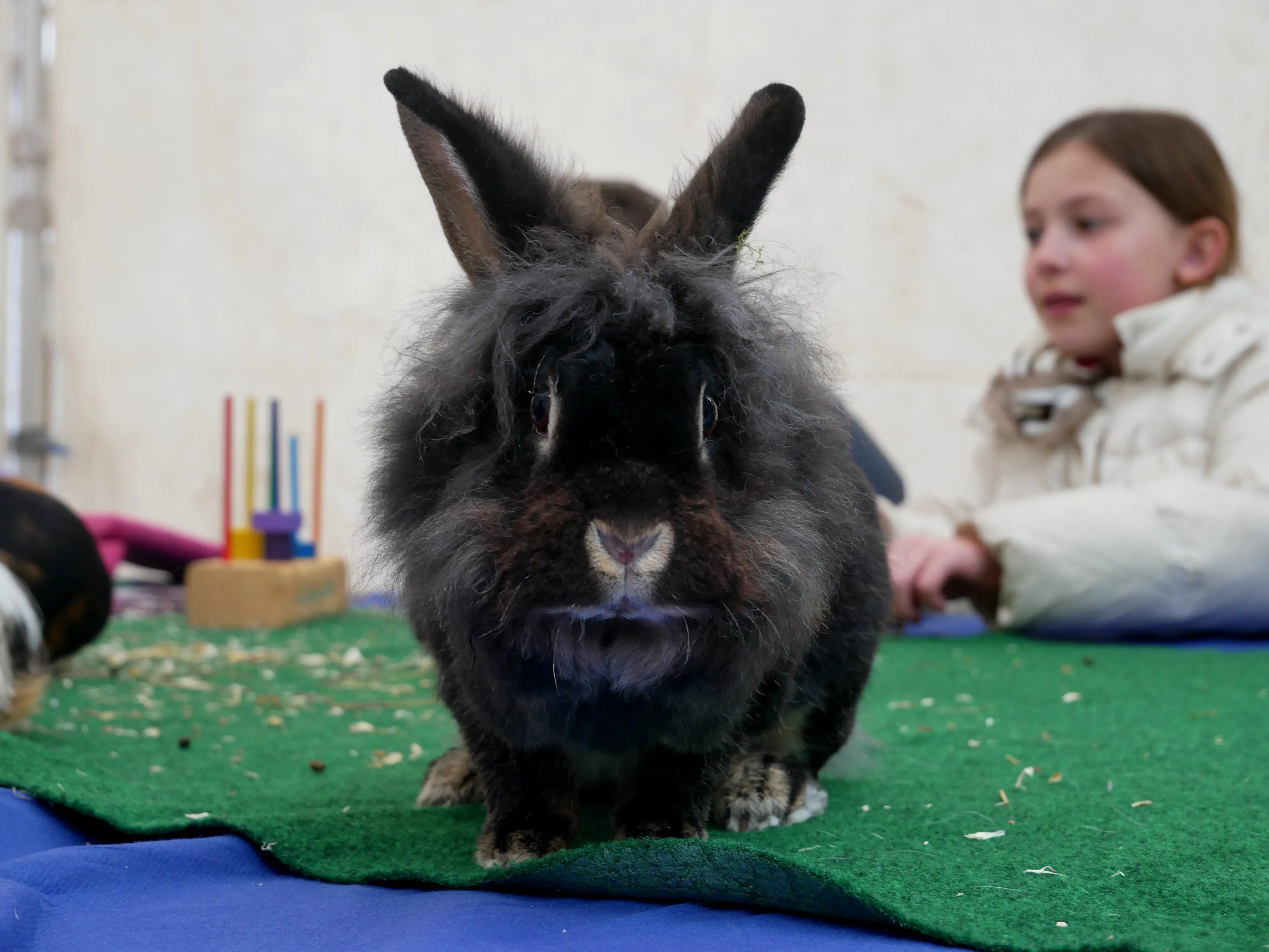 L’AUTISME FÉDÈRE PLACE GAMBETTA