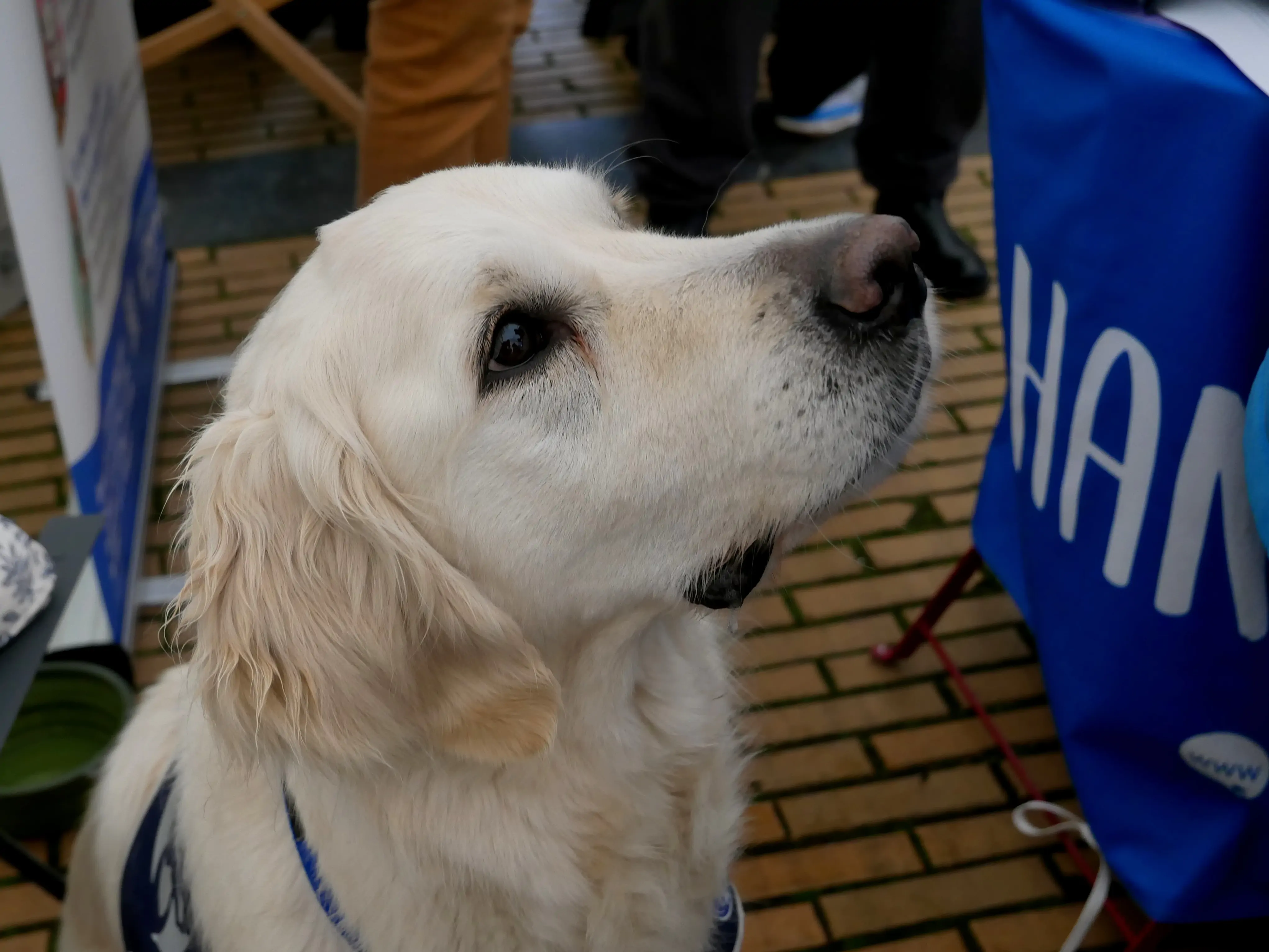 L’AUTISME FÉDÈRE PLACE GAMBETTA