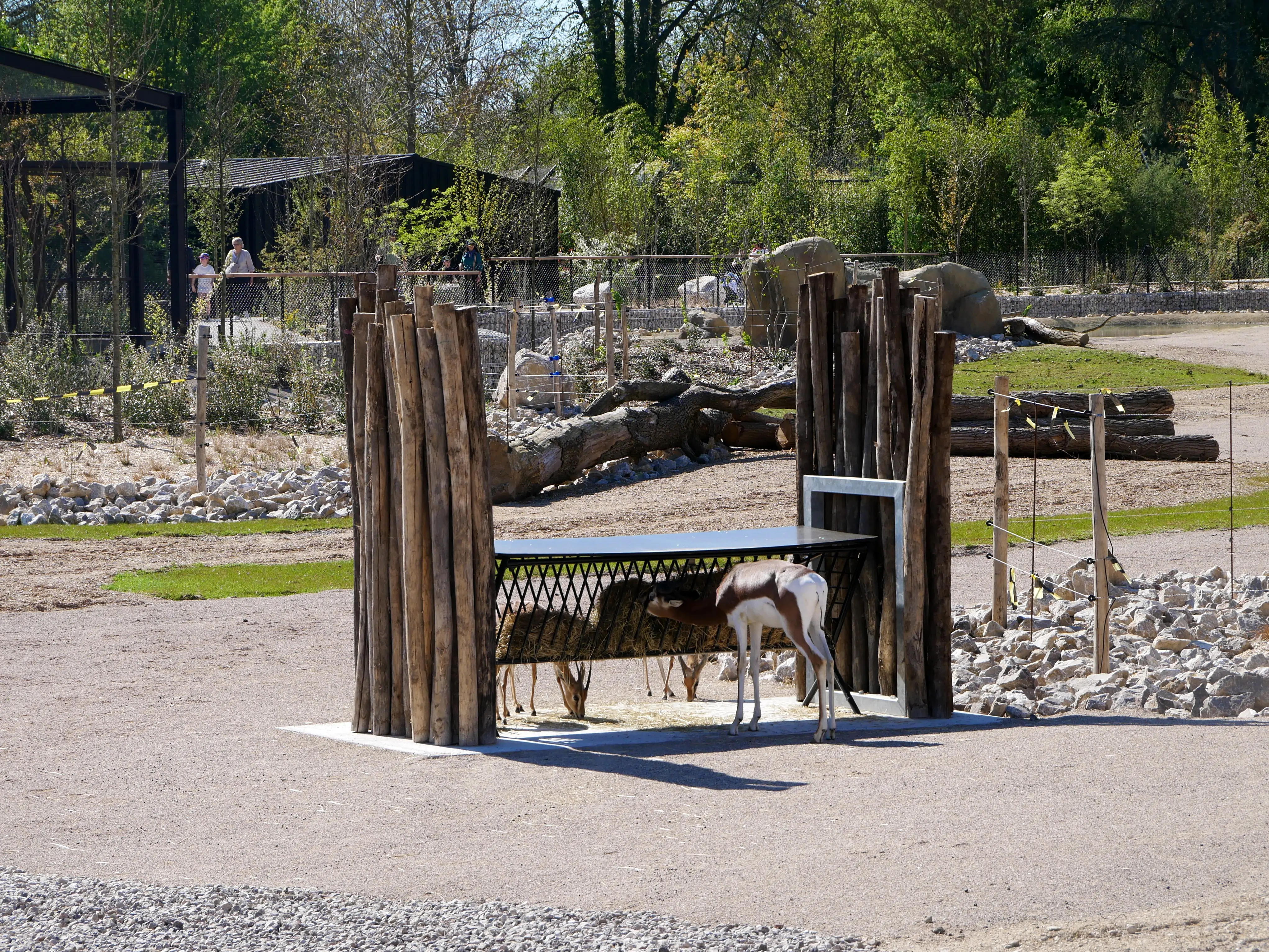 TOUS ENSEMBLE DANS LA SAVANE