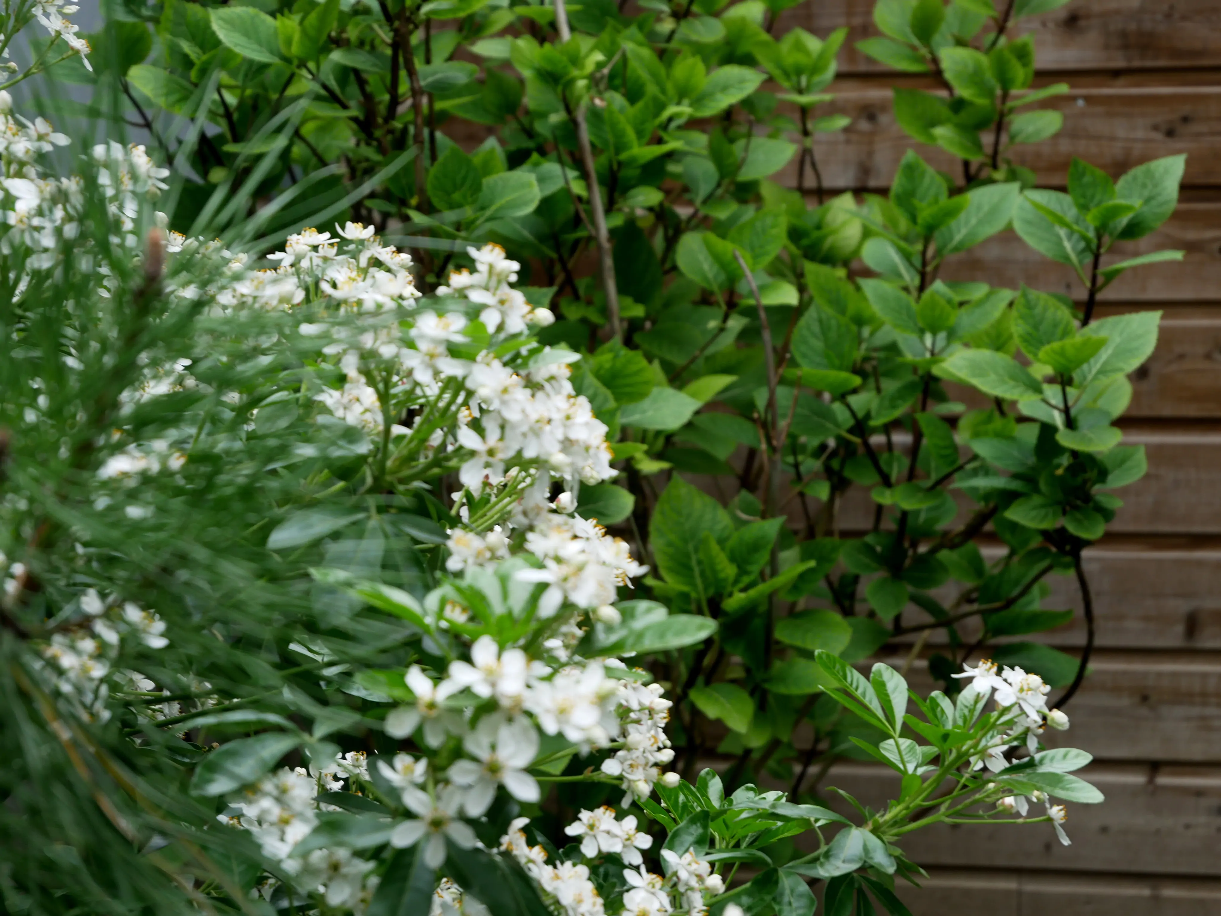 L’ART DE RÉINVENTER LES LIEUX