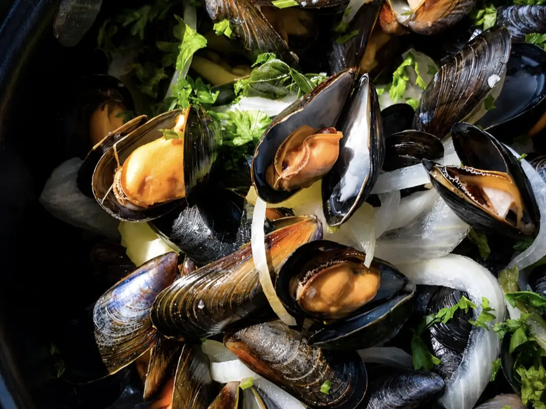 DES MOULES AU BORD DE LA SOMME