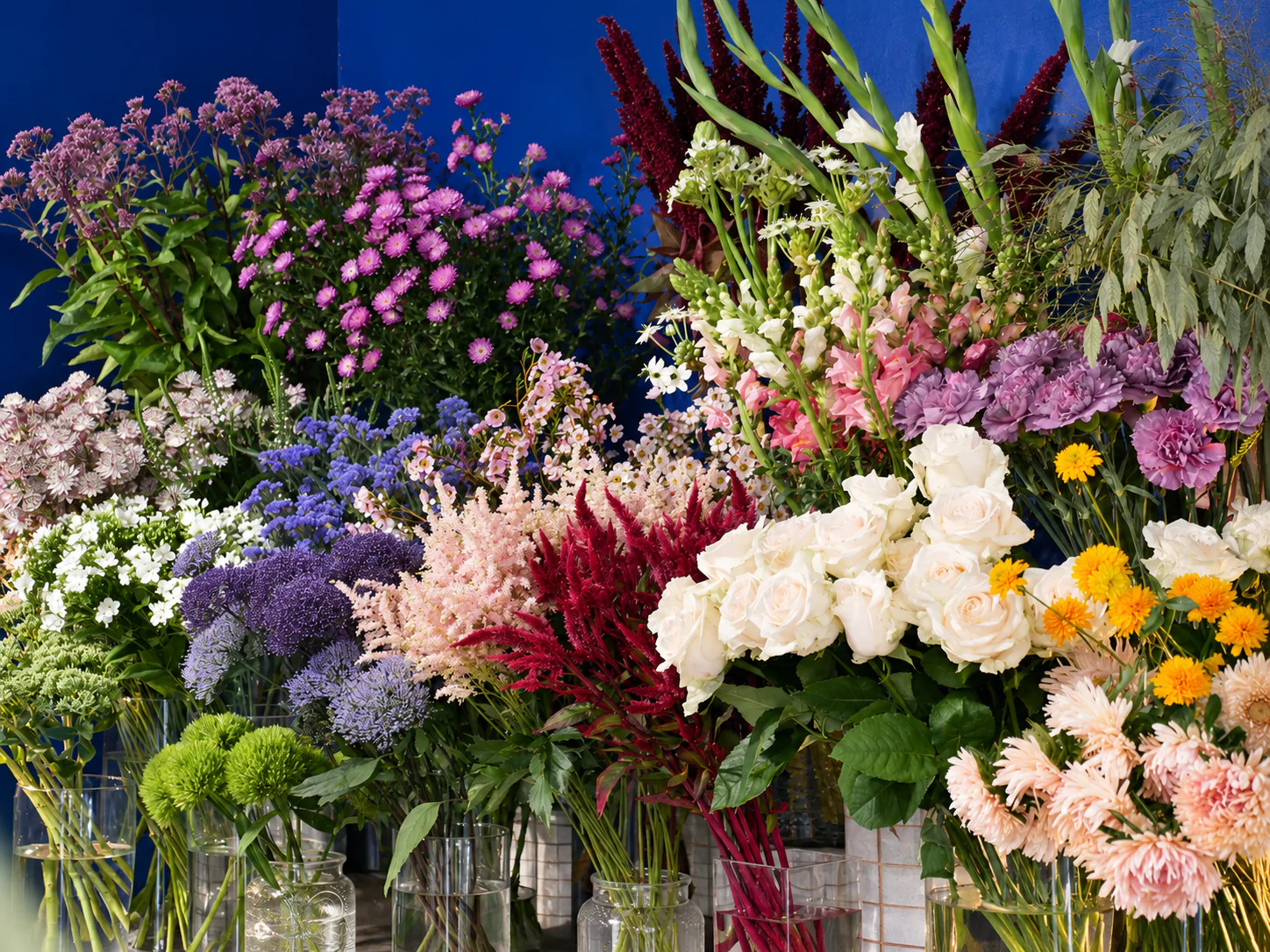 UNE NOUVELLE HISTOIRE FLORALE