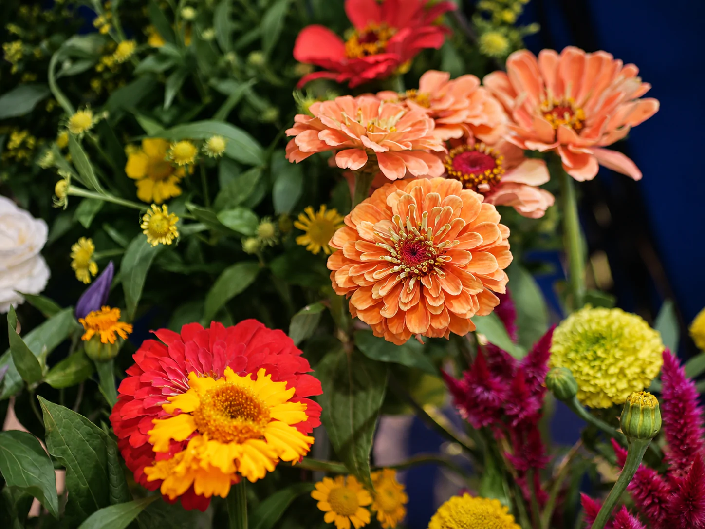 UNE NOUVELLE HISTOIRE FLORALE