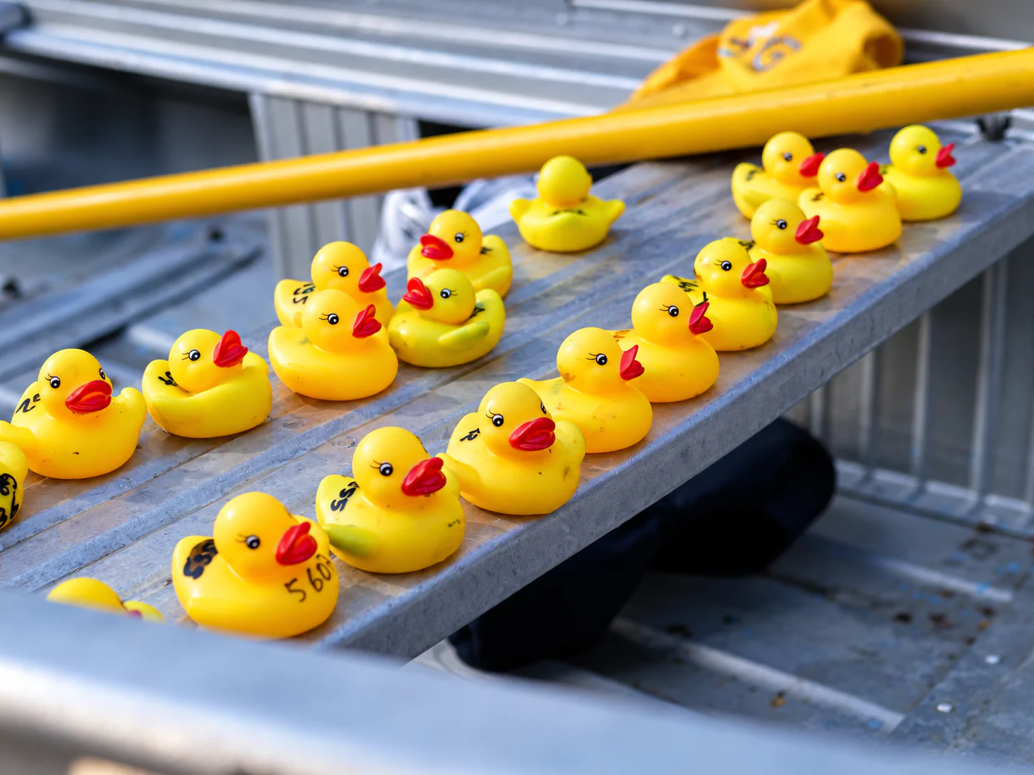 LE CANARD GAGNANT EST LE N°152