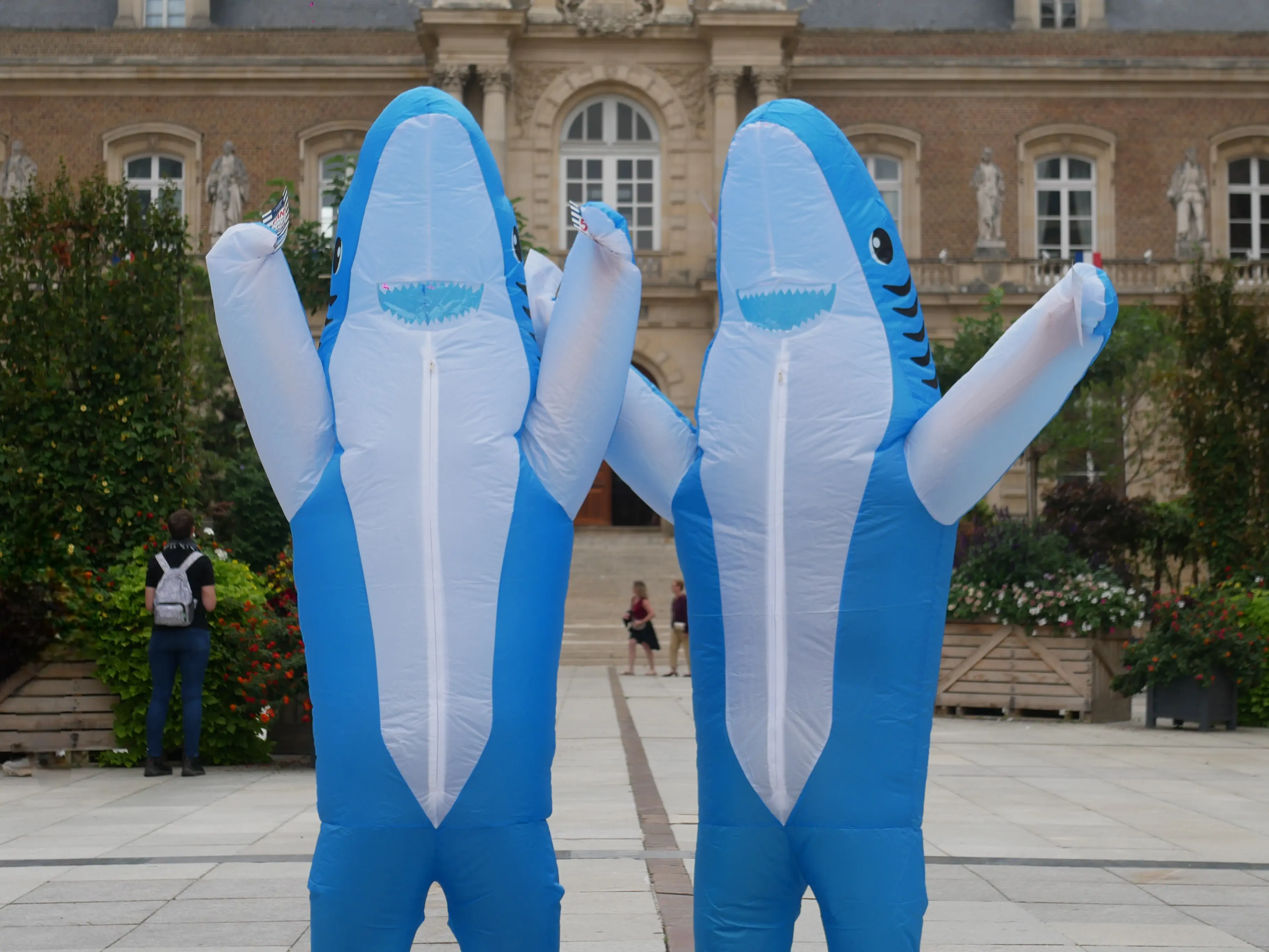 UN GANG DE REQUINS EN VILLE