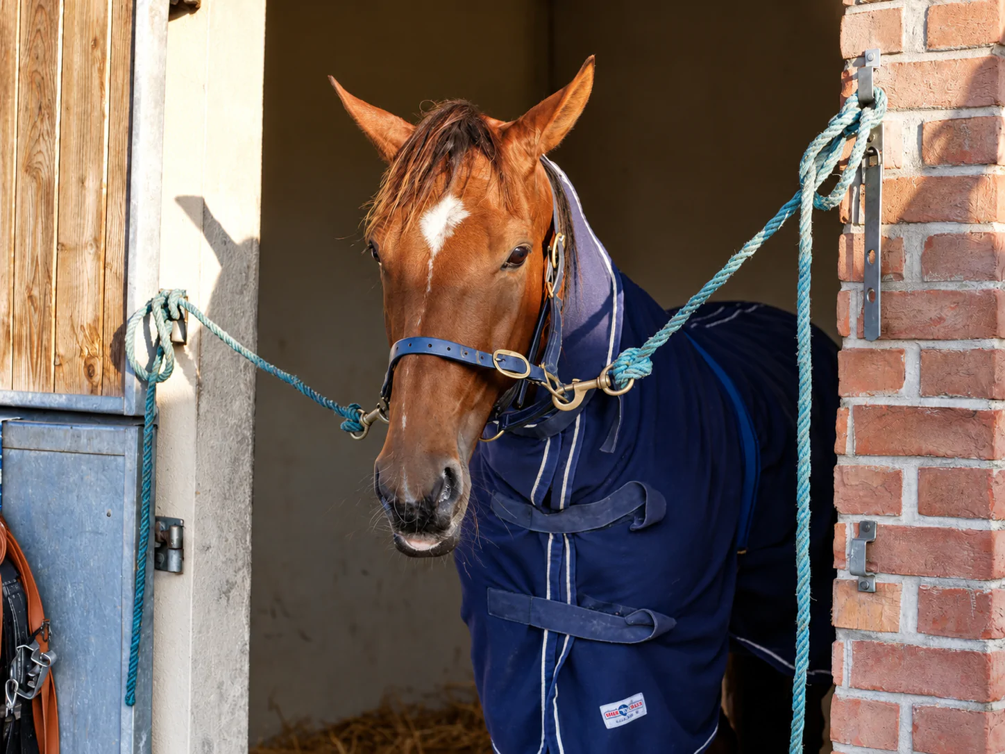 LE PMU FAIT VIBRER L’HIPPODROME