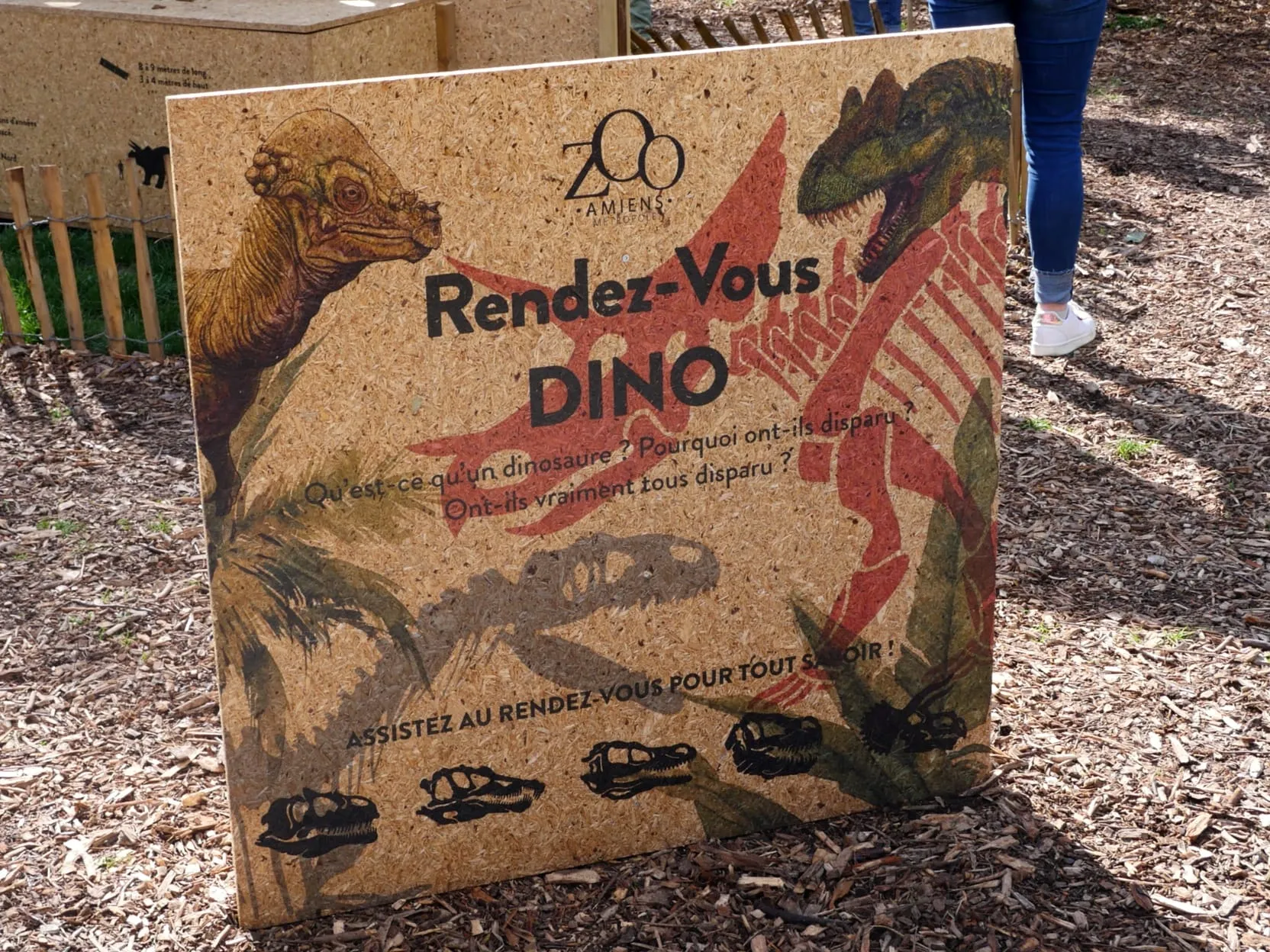DES DINOS AU ZOO