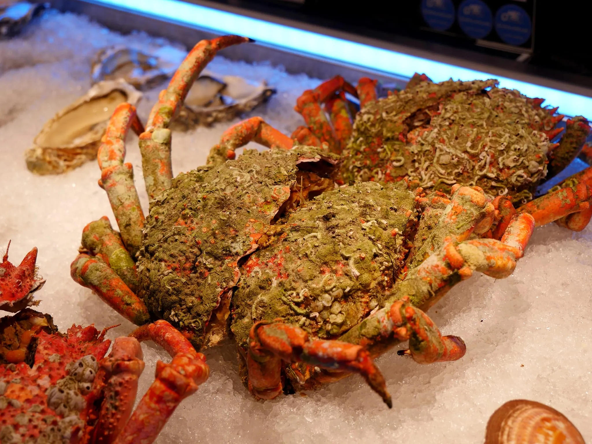 LE BUFFET DE L'ESPACE