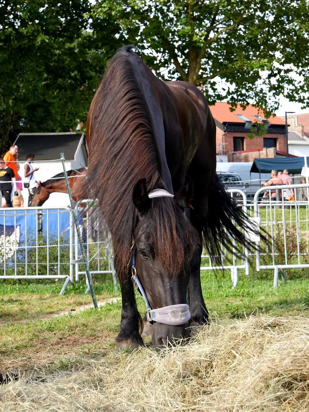 MÉDIÉVALES AU BORD DE L'EAU