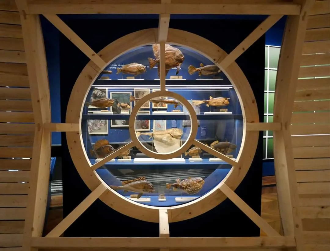 PLONGEZ AVEC JULES VERNE