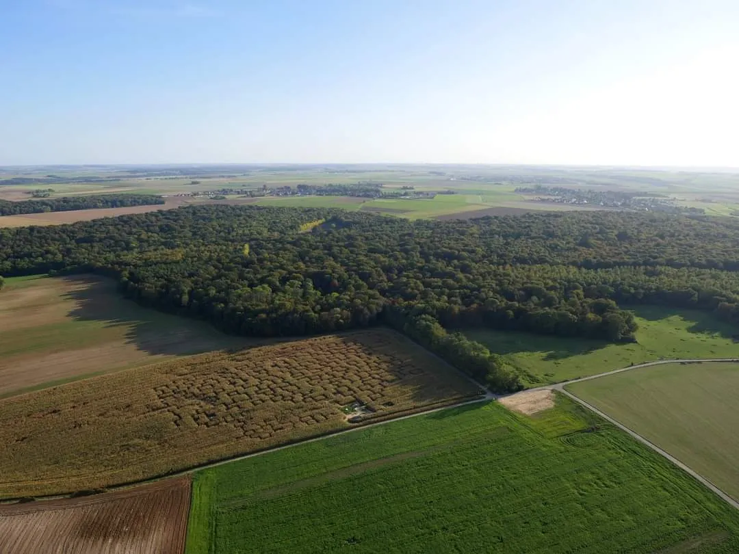 LE TOUR D'AMIENS EN BALLON