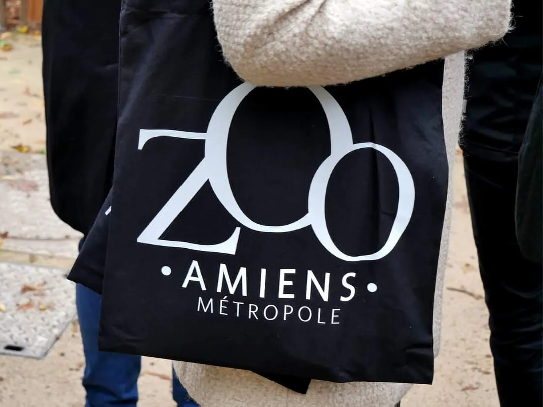 POSE DE LA PREMIÈRE PLANCHE