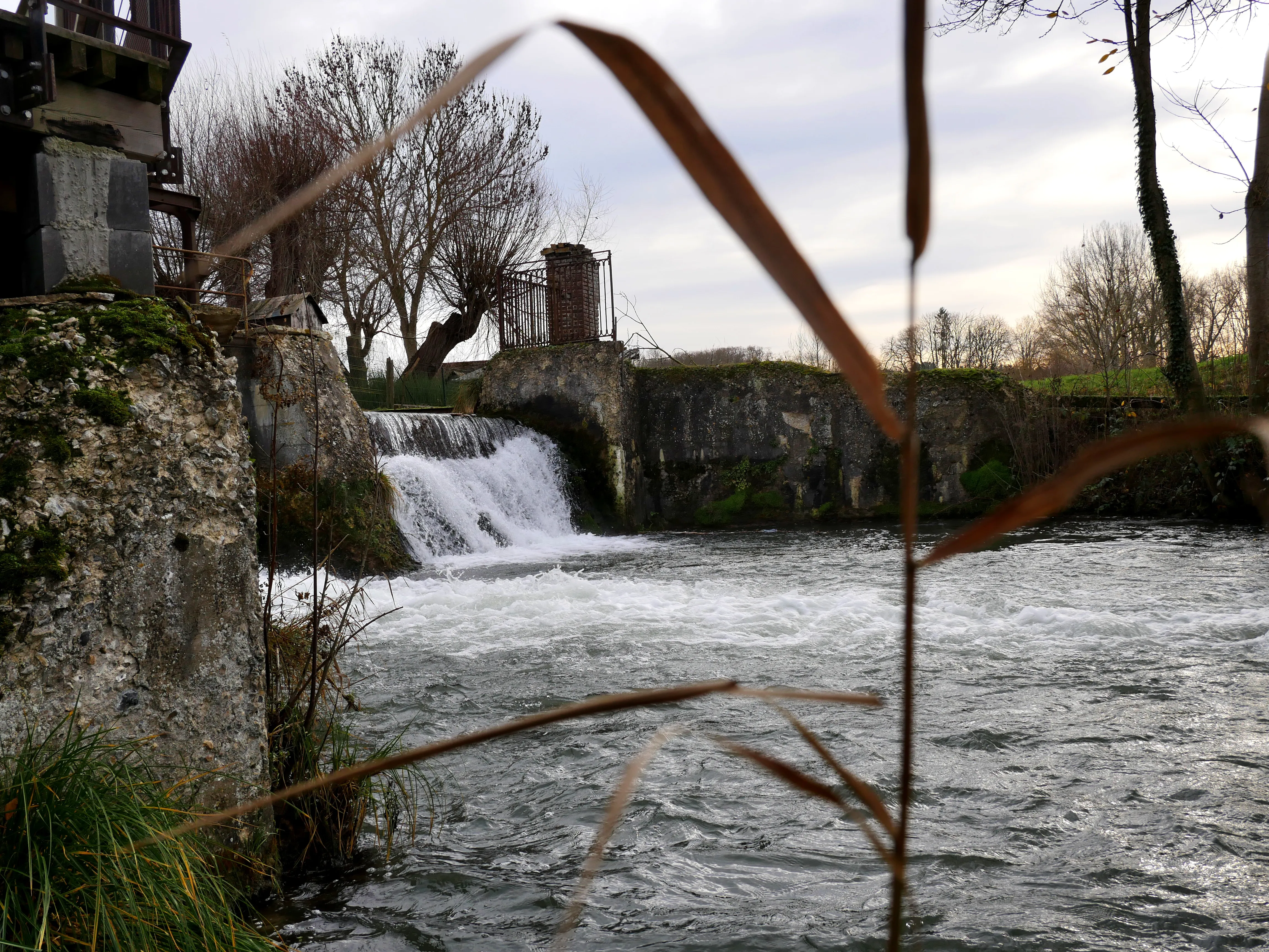 LE MOULIN DES ÉCREVISSES
