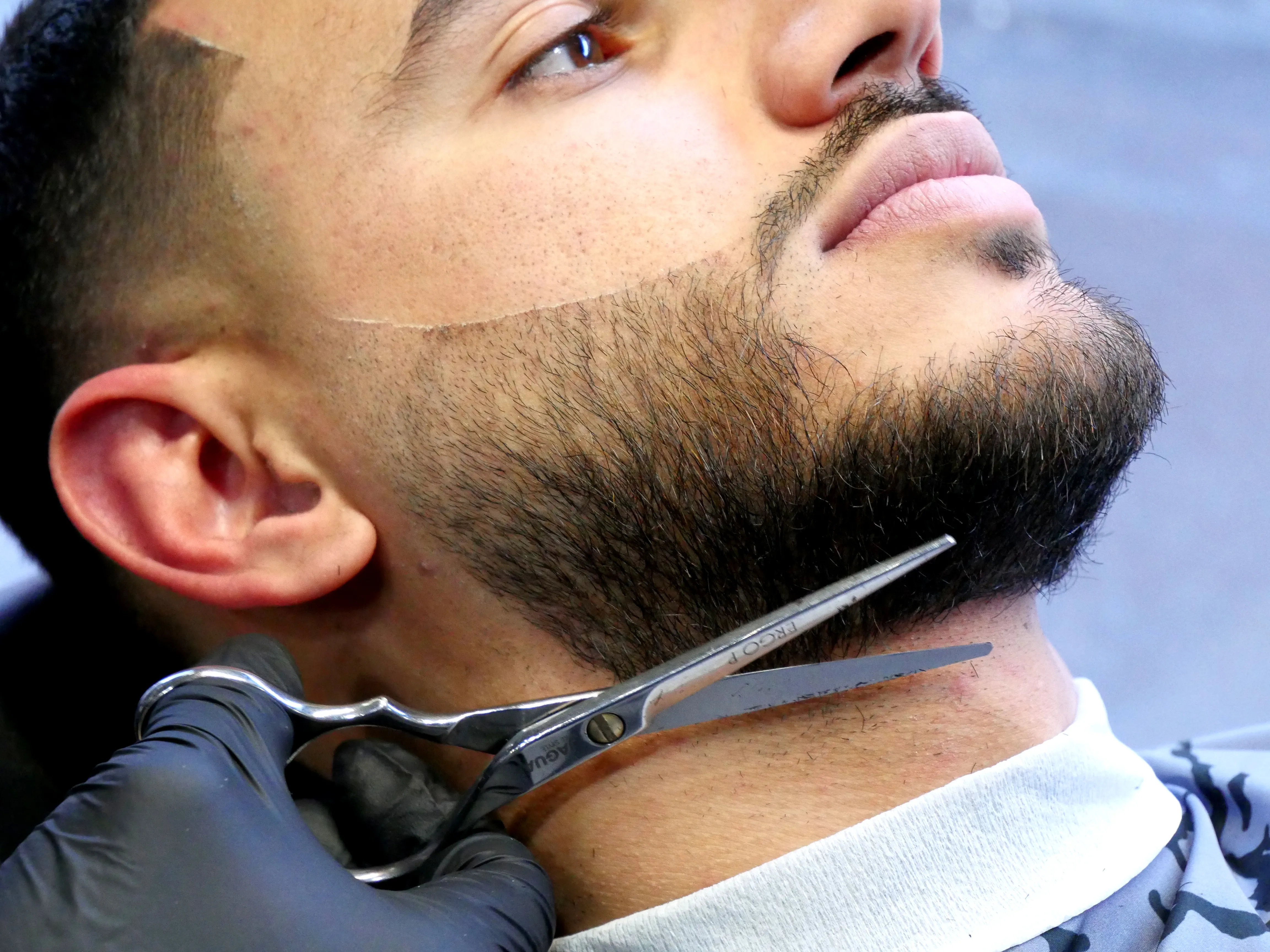 UN SALON QUI ARRIVE AU POIL