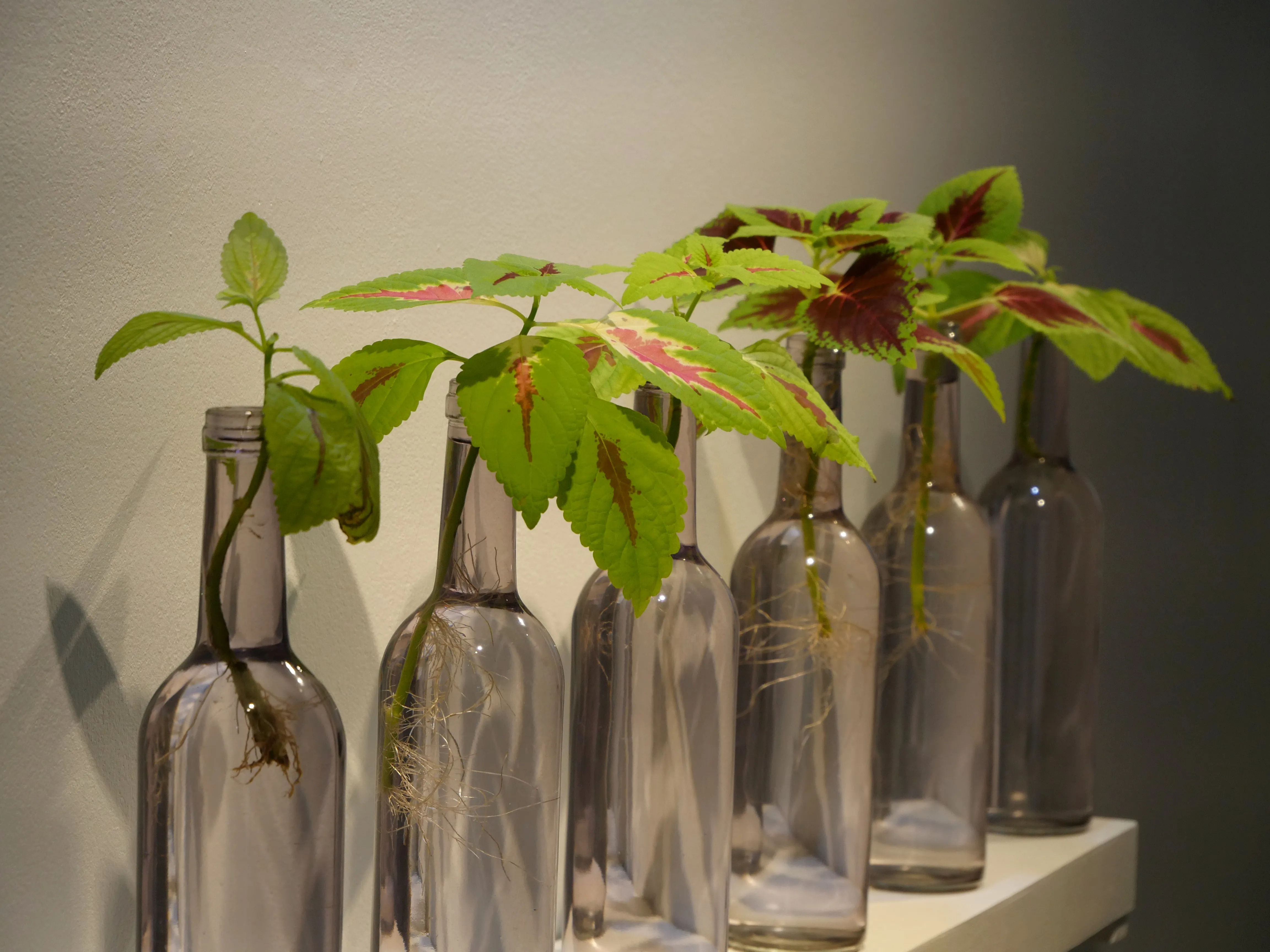 UNE EXPO PLEINE DE SENS