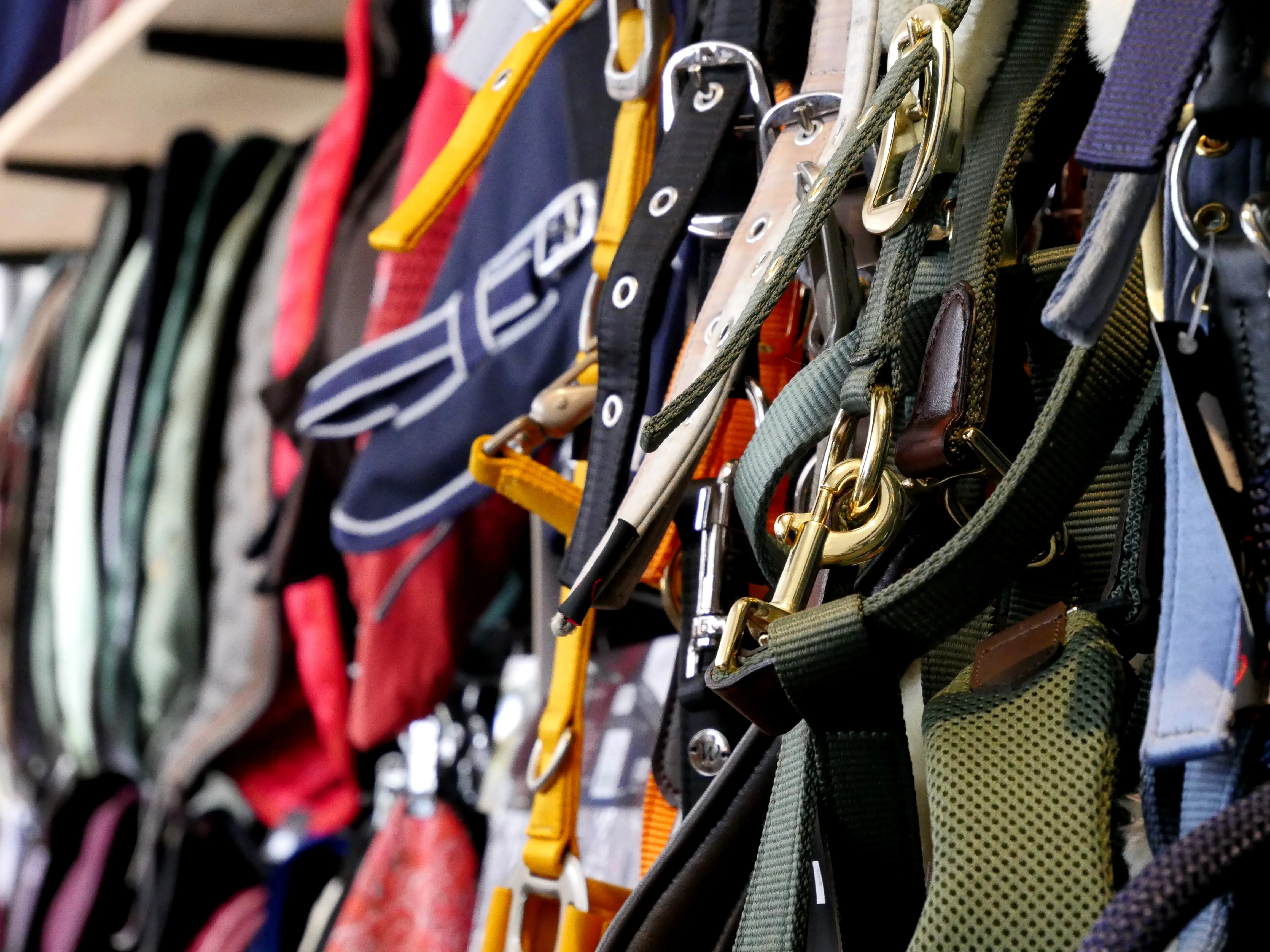 TOUTES & TOUS EN SELLE !