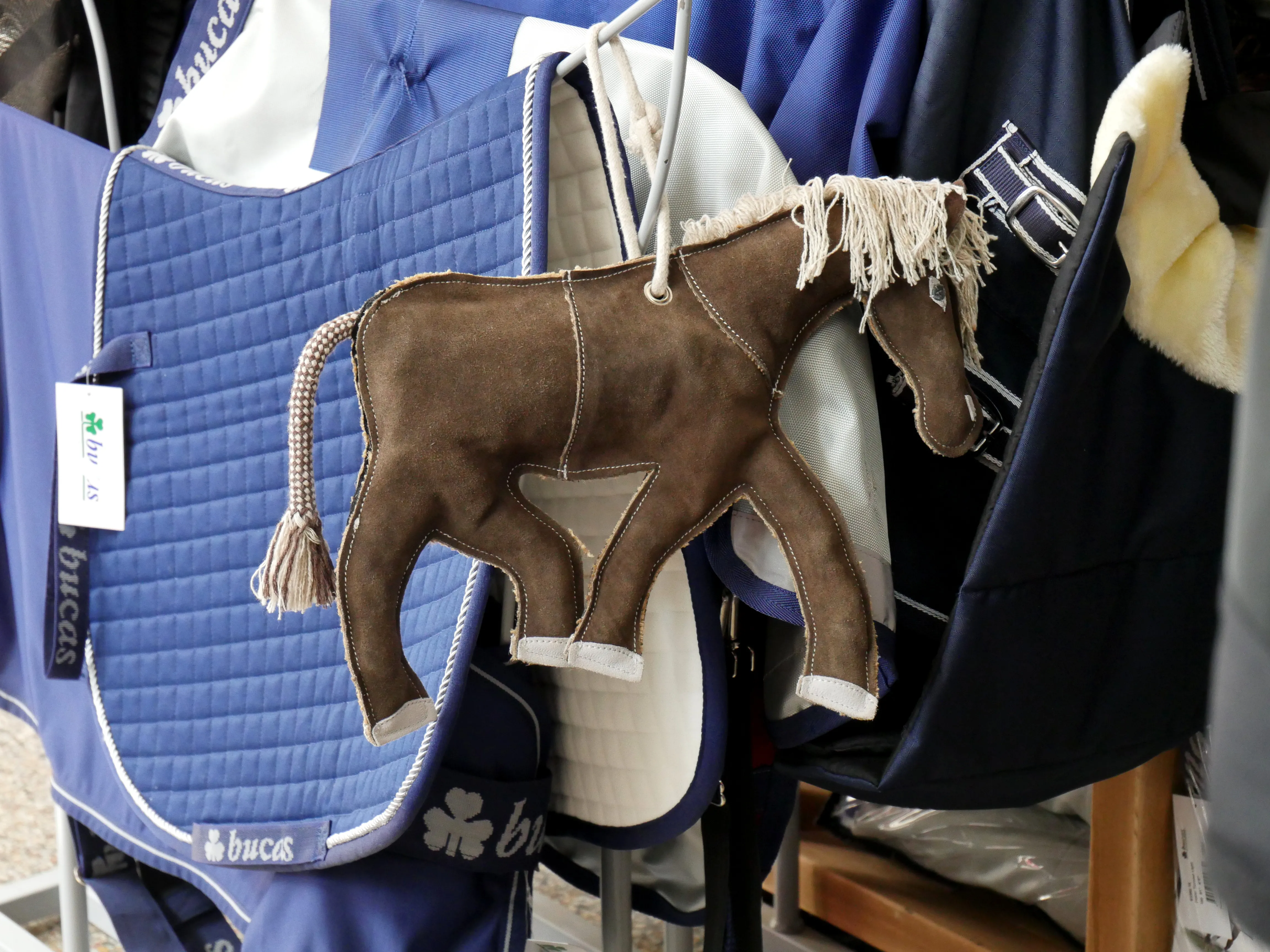 TOUTES & TOUS EN SELLE !