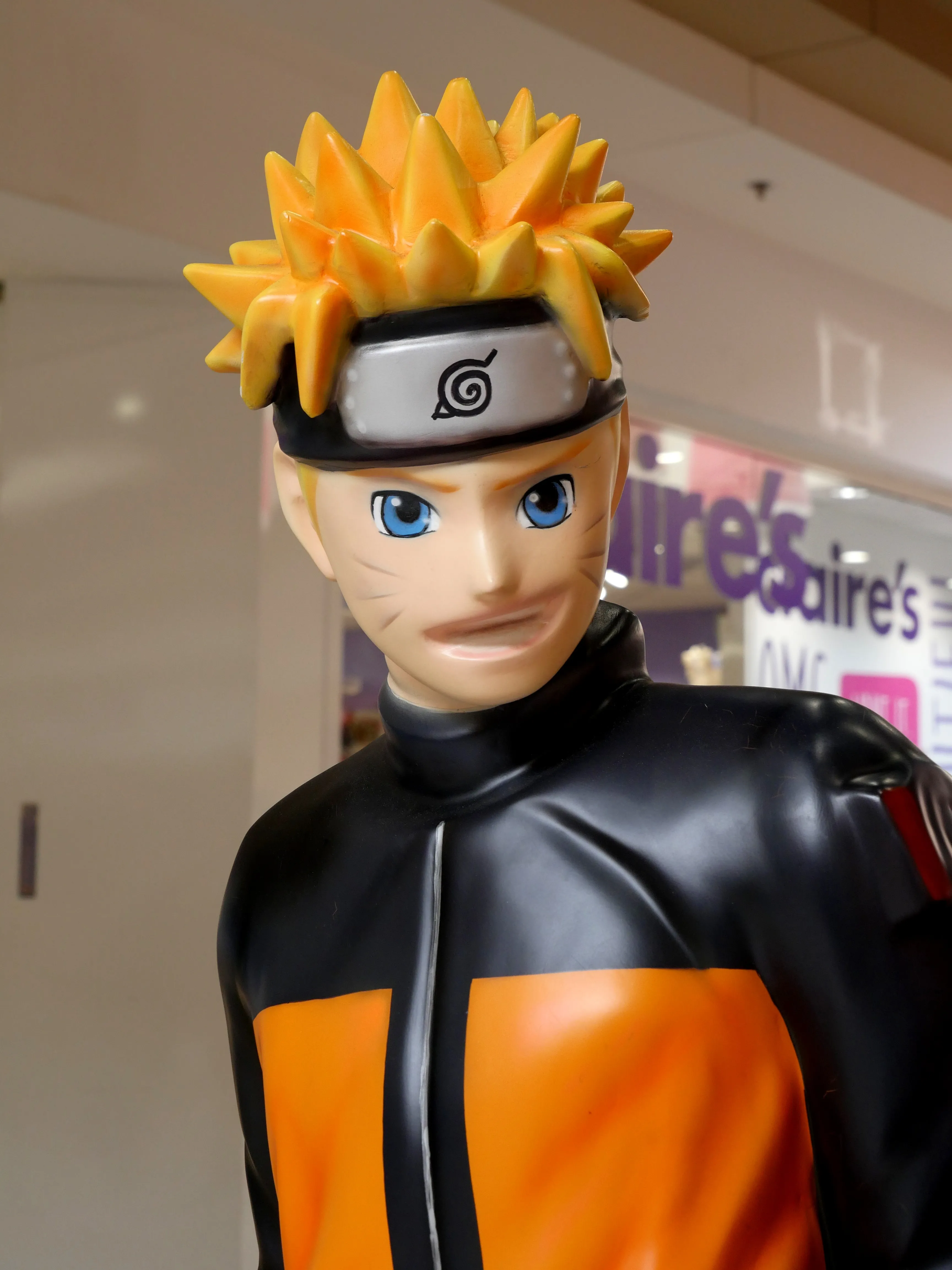 POUR LES FANS DE MANGA