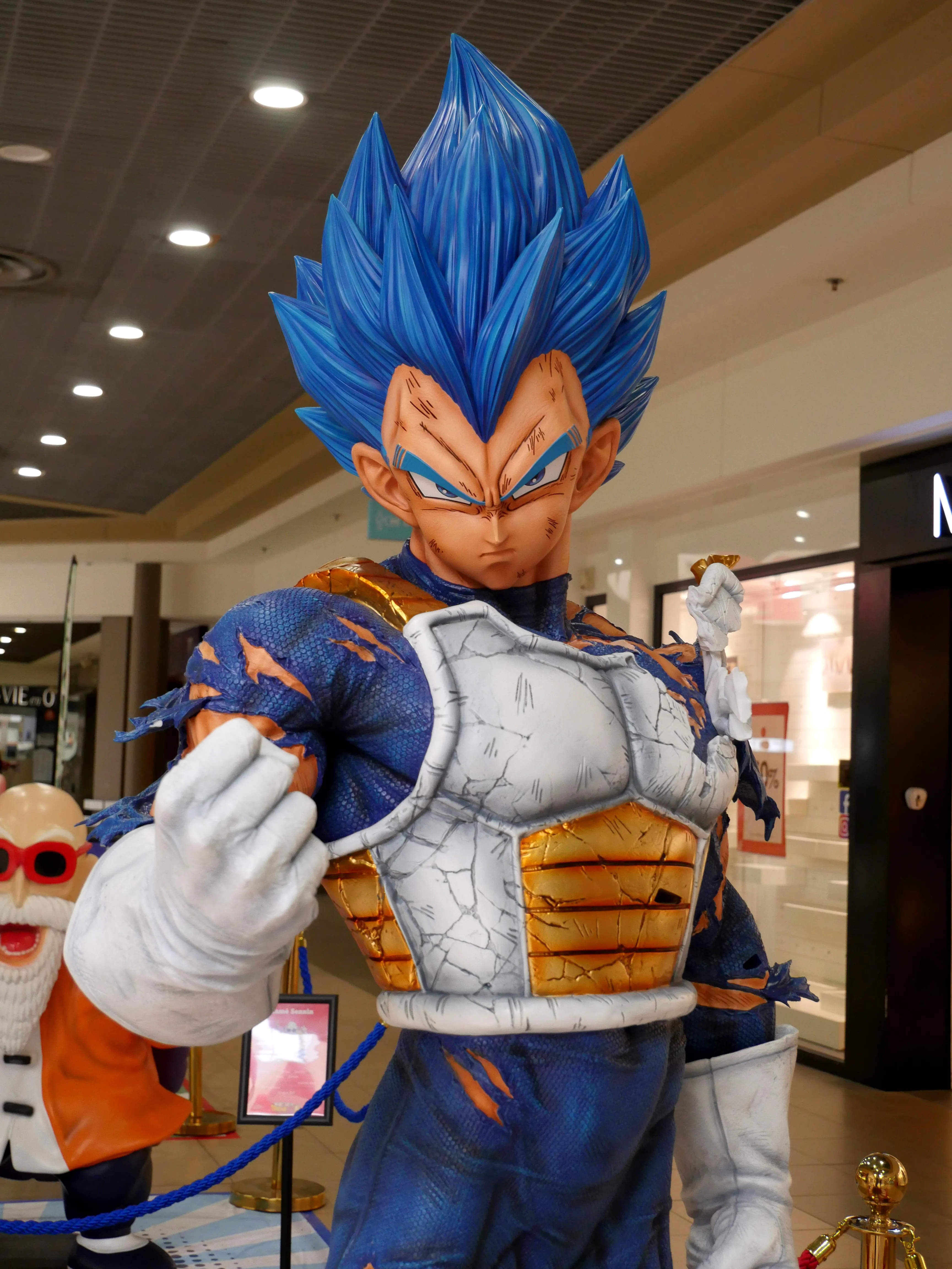 POUR LES FANS DE MANGA