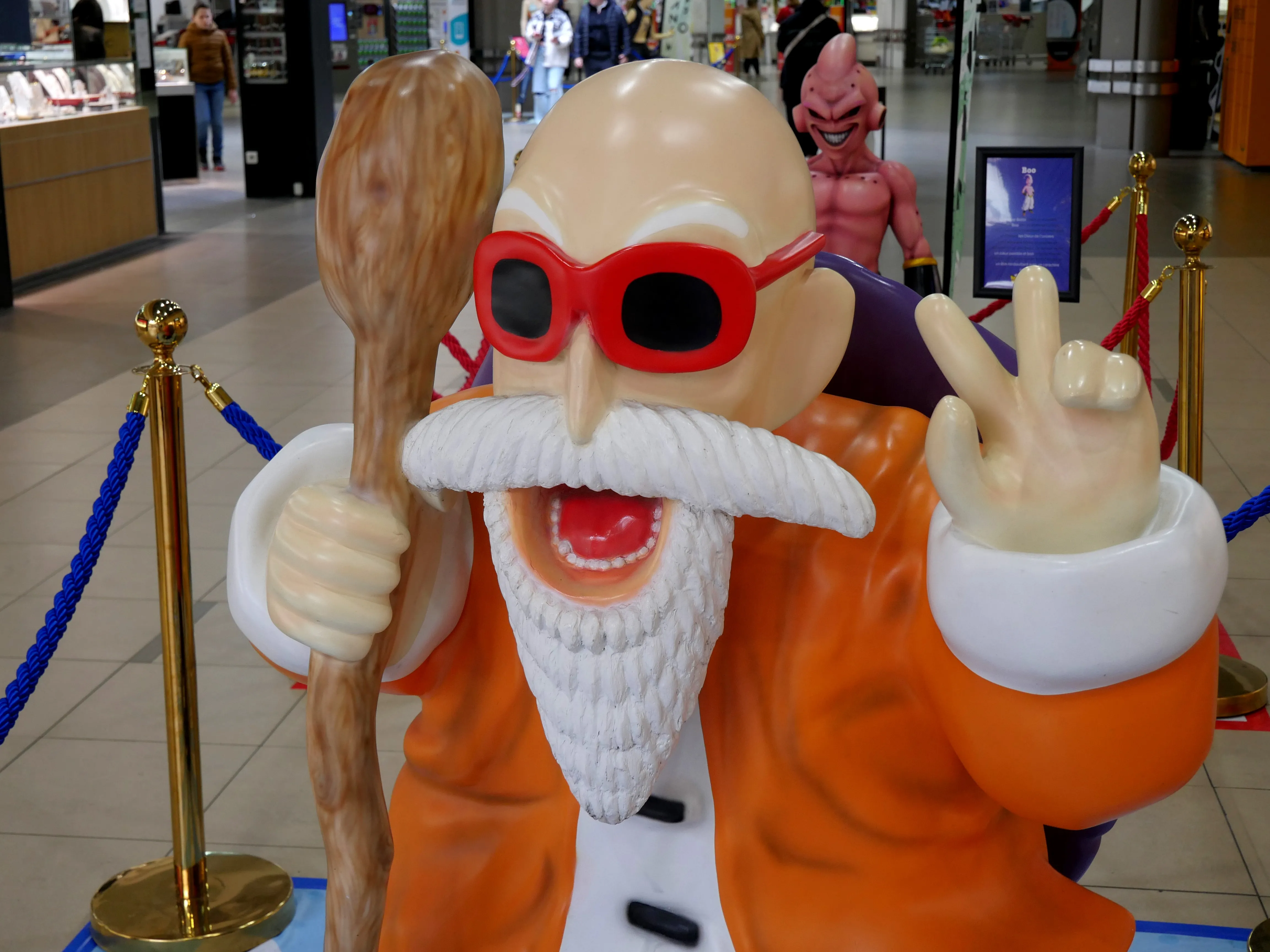 POUR LES FANS DE MANGA