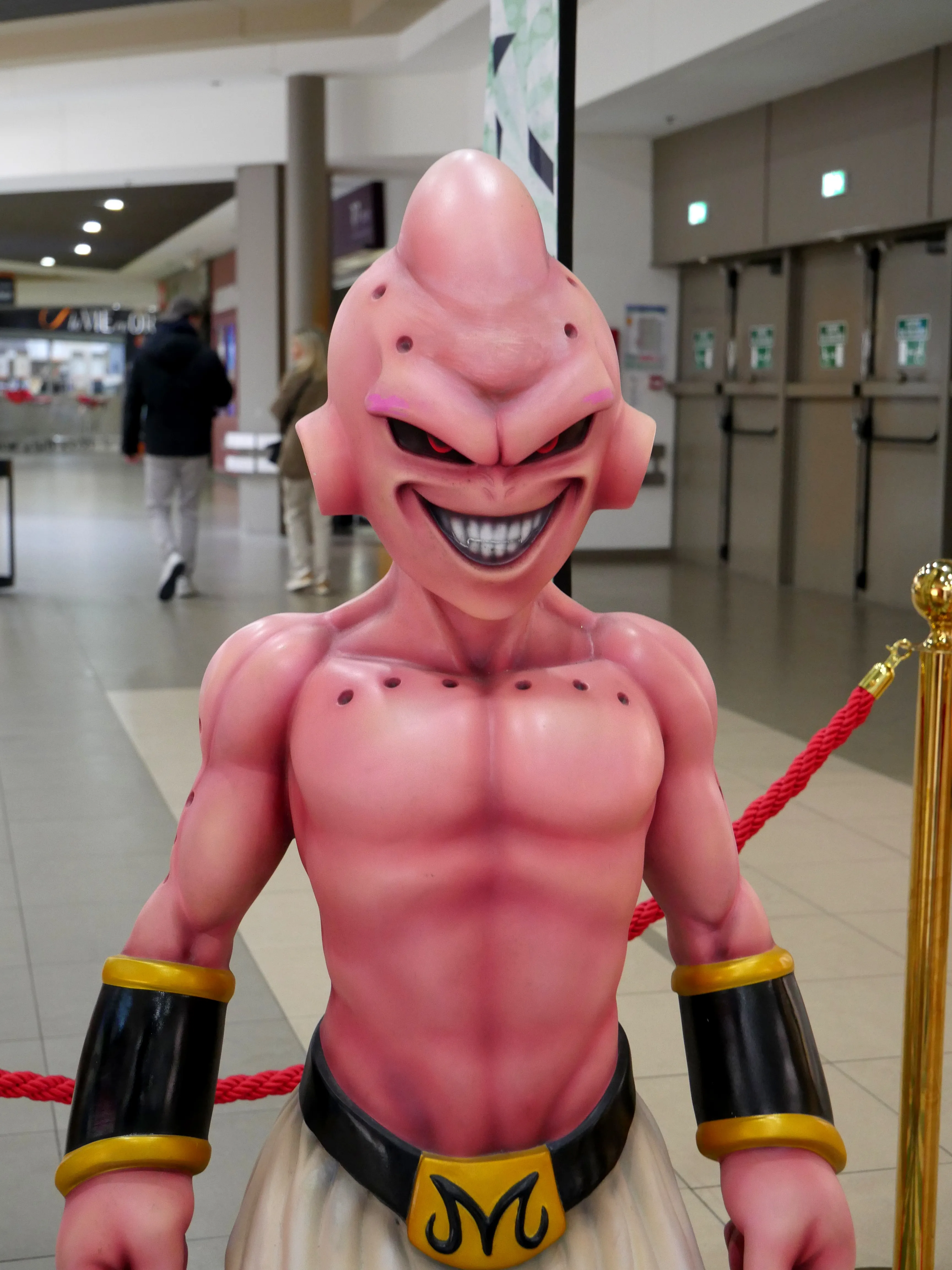 POUR LES FANS DE MANGA