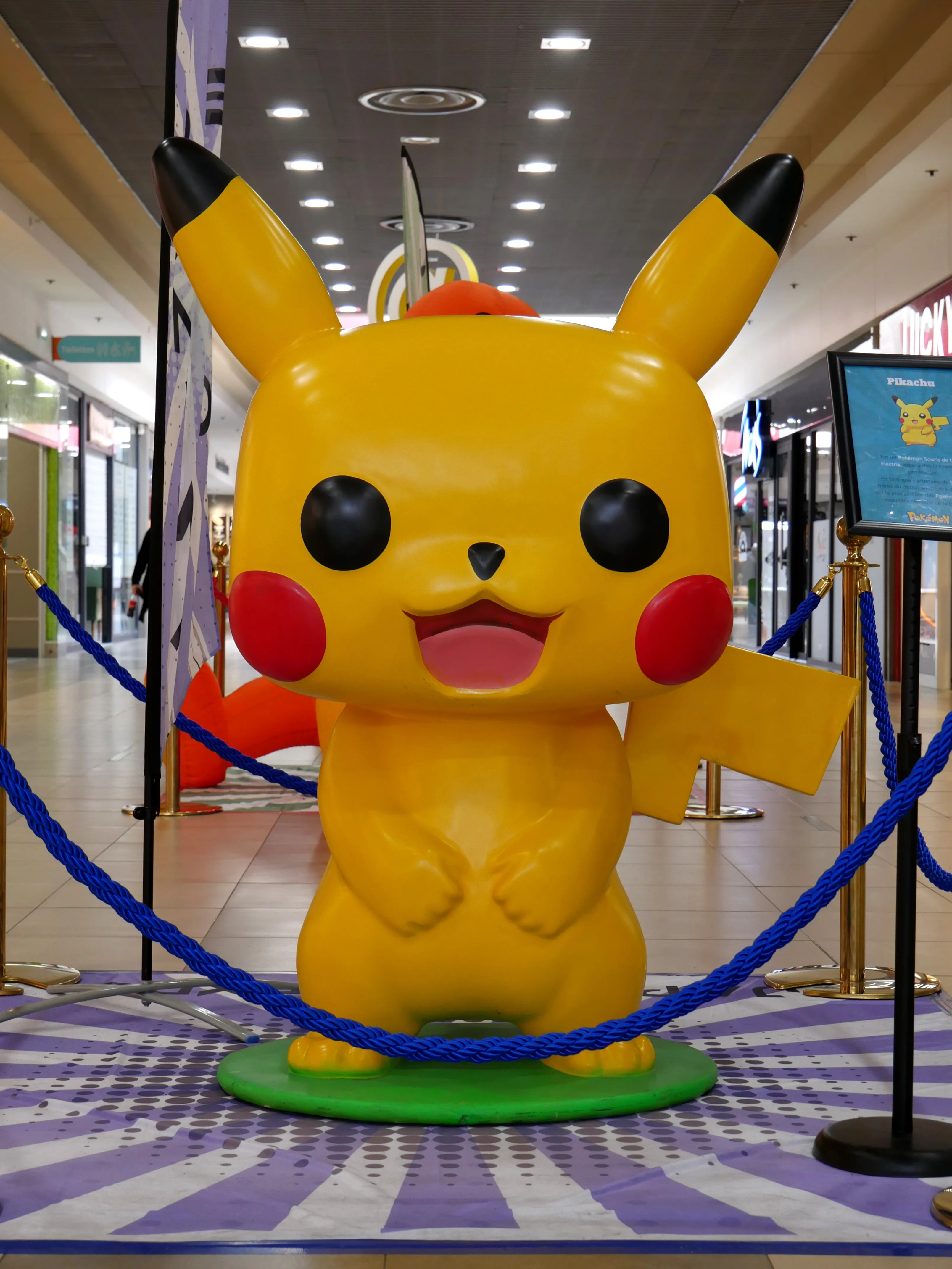 POUR LES FANS DE MANGA