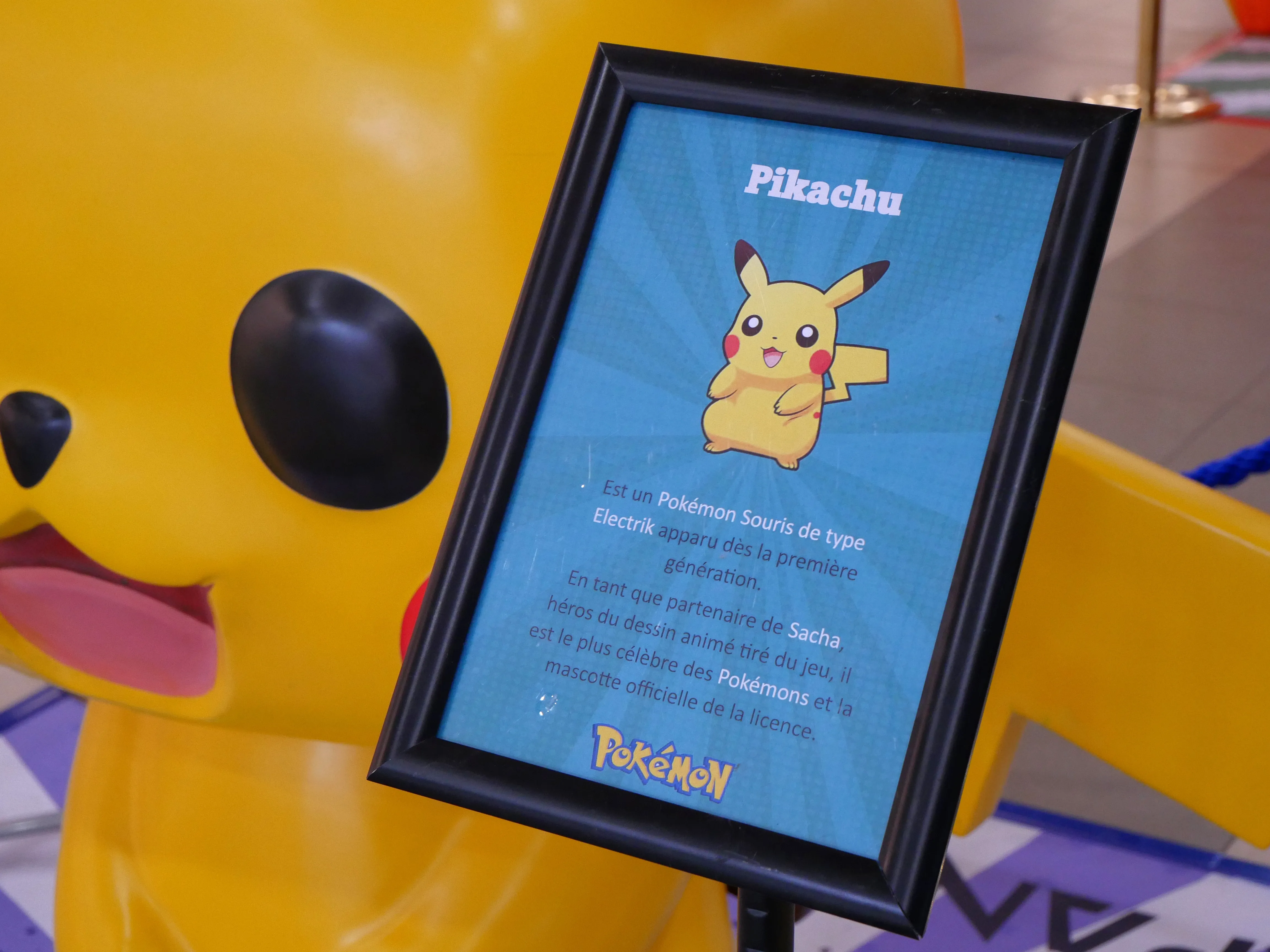 POUR LES FANS DE MANGA