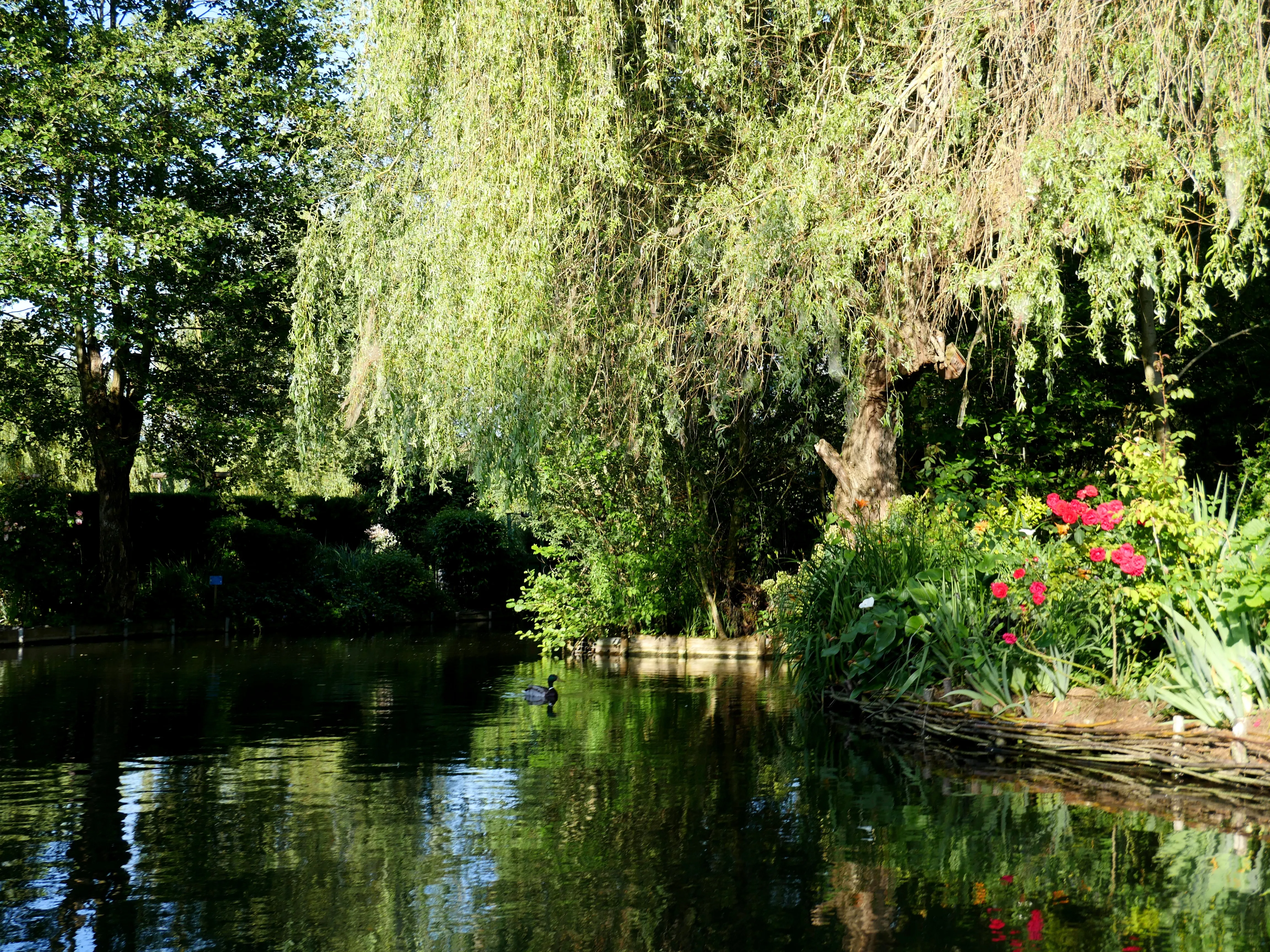 LA FIN DES HORTILLONNAGES ?!
