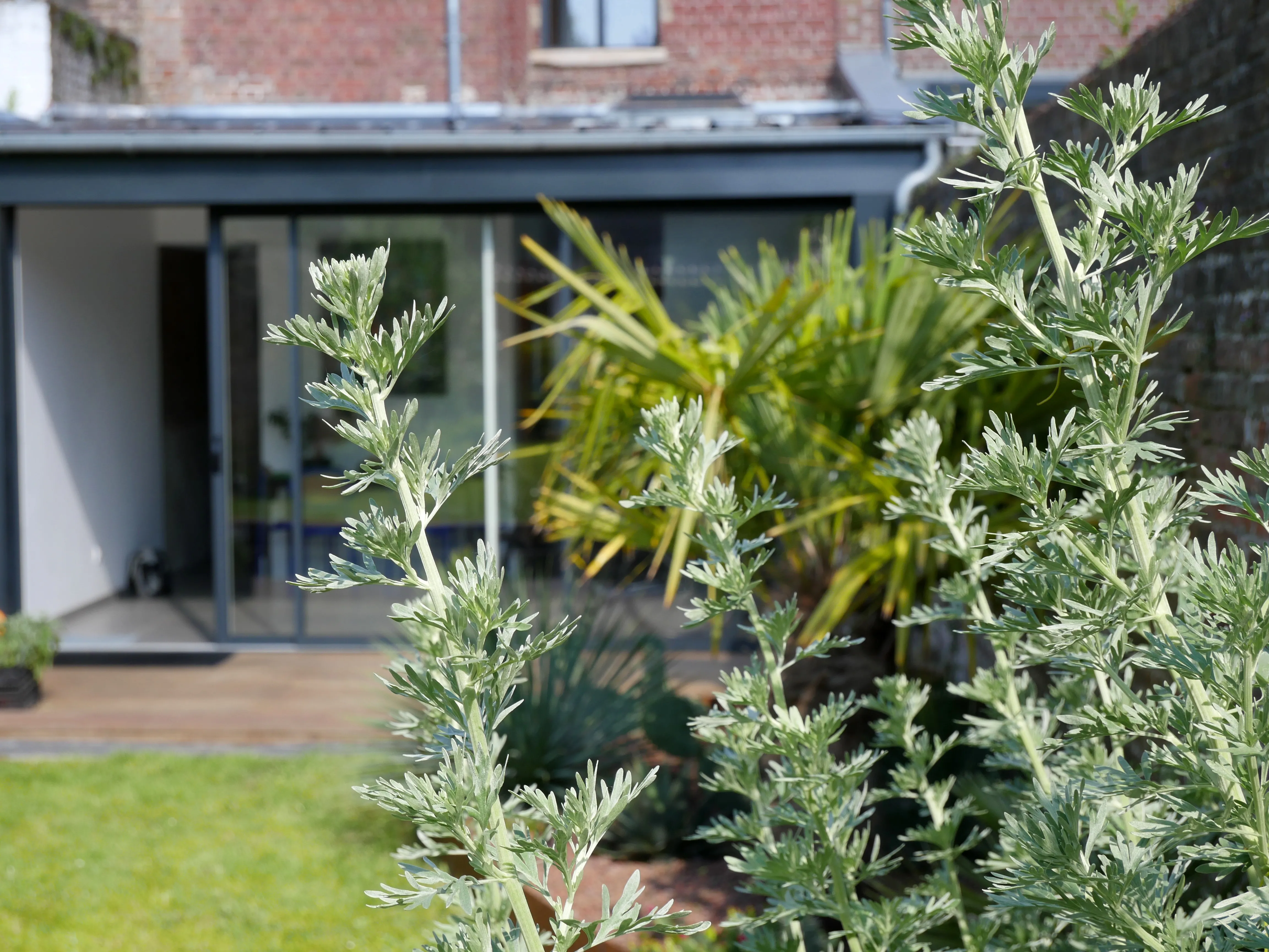 IL CRÉE VOTRE HAVRE DE PAIX