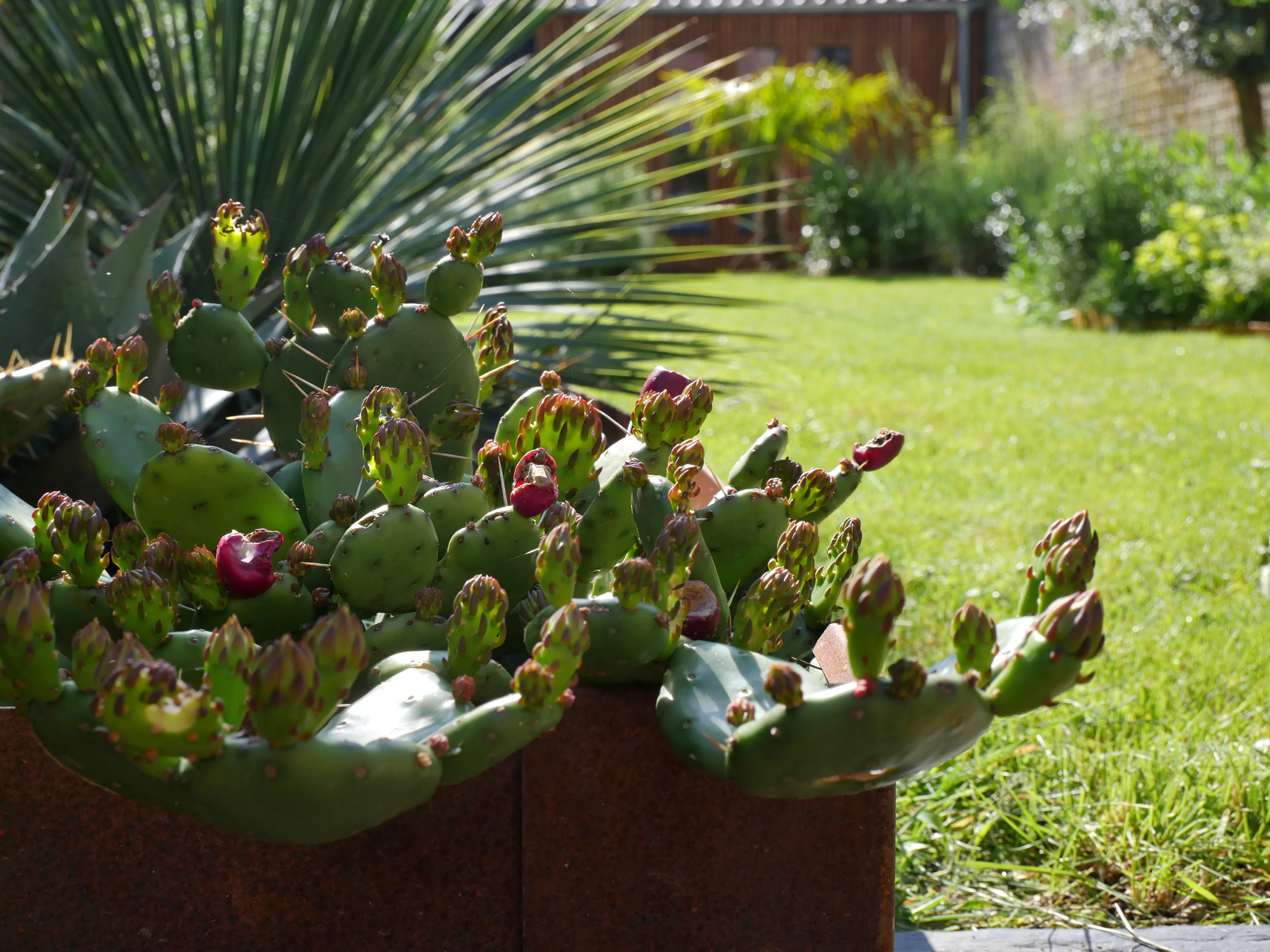 IL CRÉE VOTRE HAVRE DE PAIX